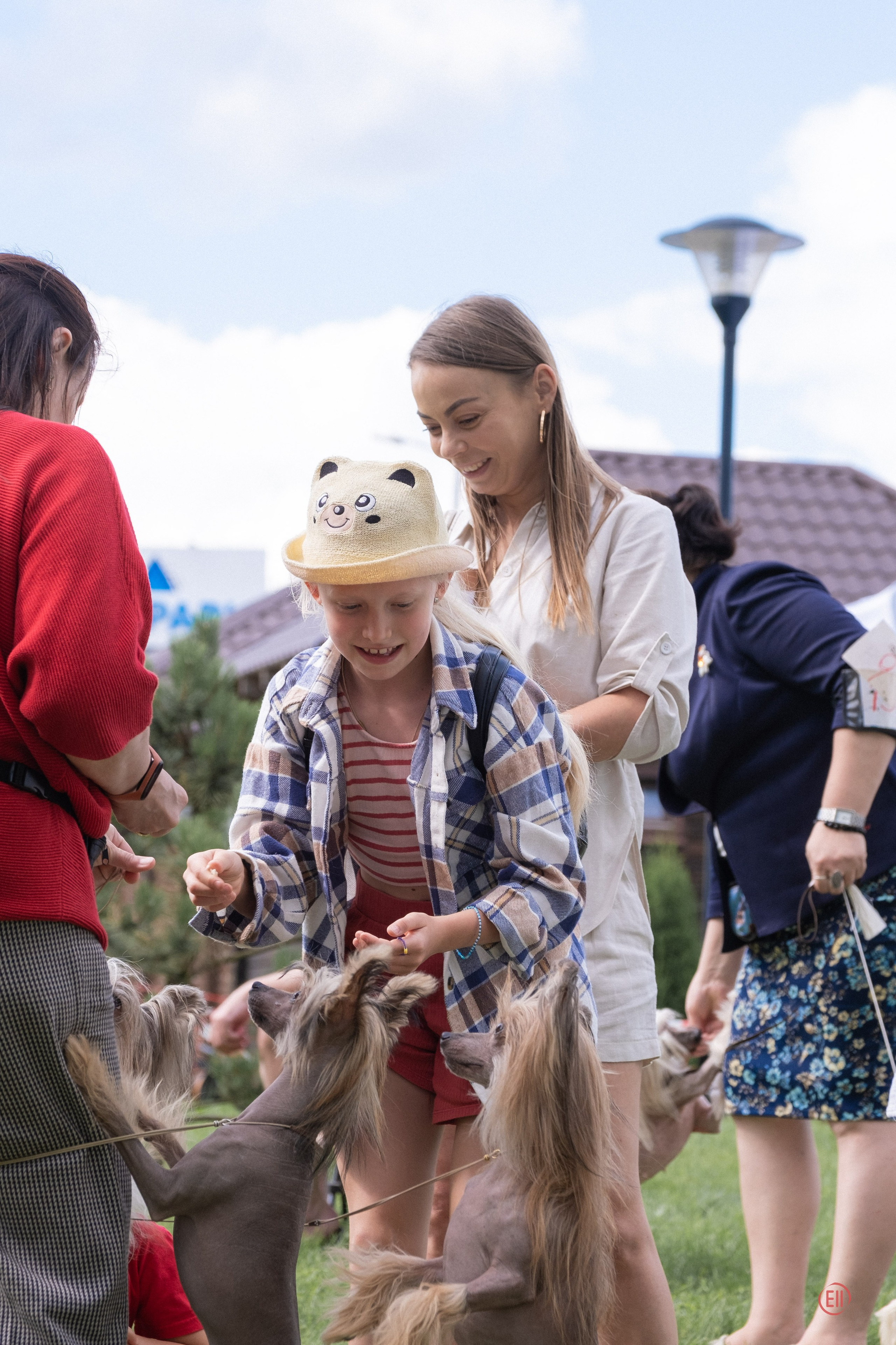 Липецк. Выставка собак. Питомник китайских хохлатых собак Poale Ell: купить щенка