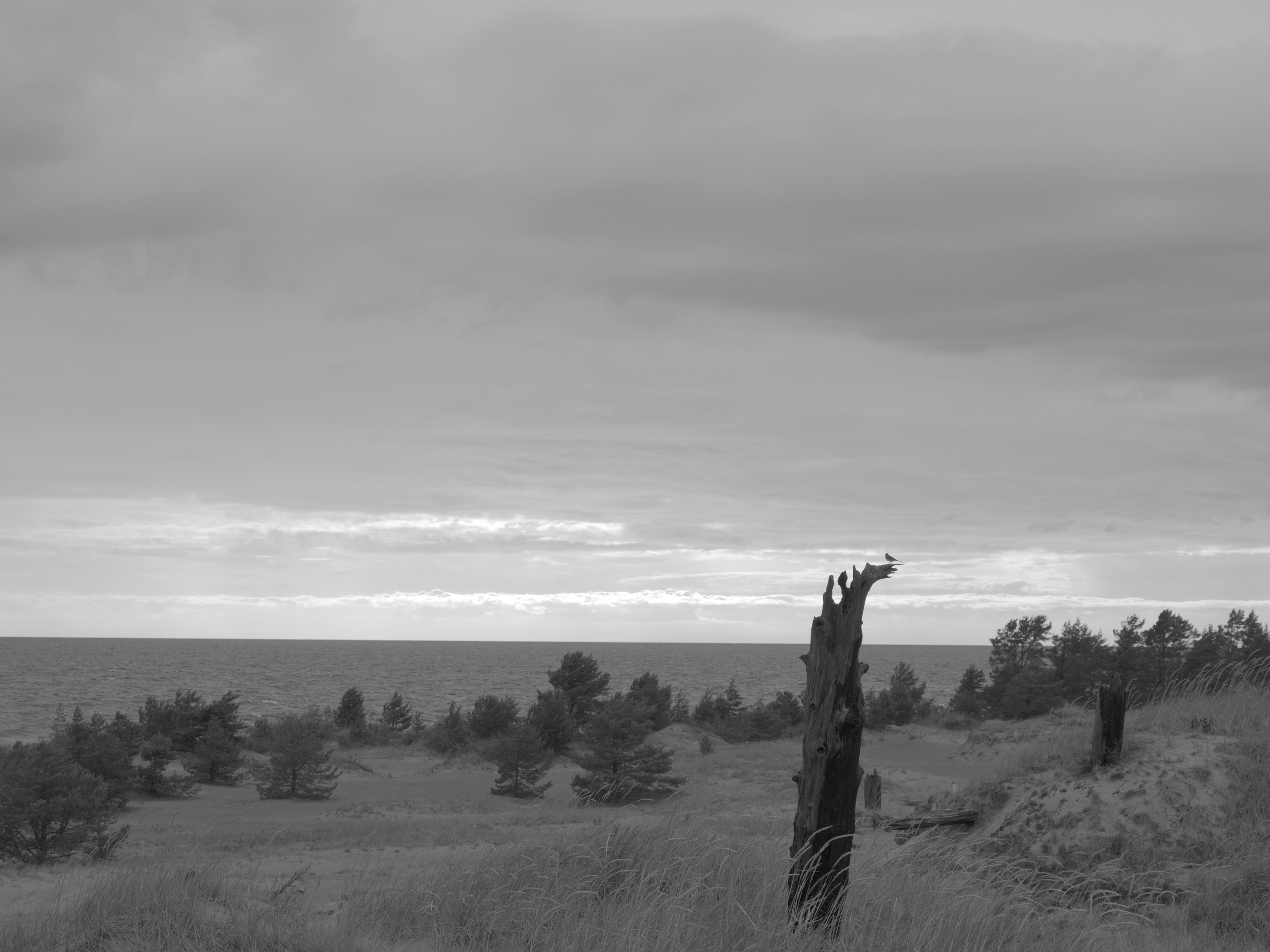 Distance. Artem Glukhan