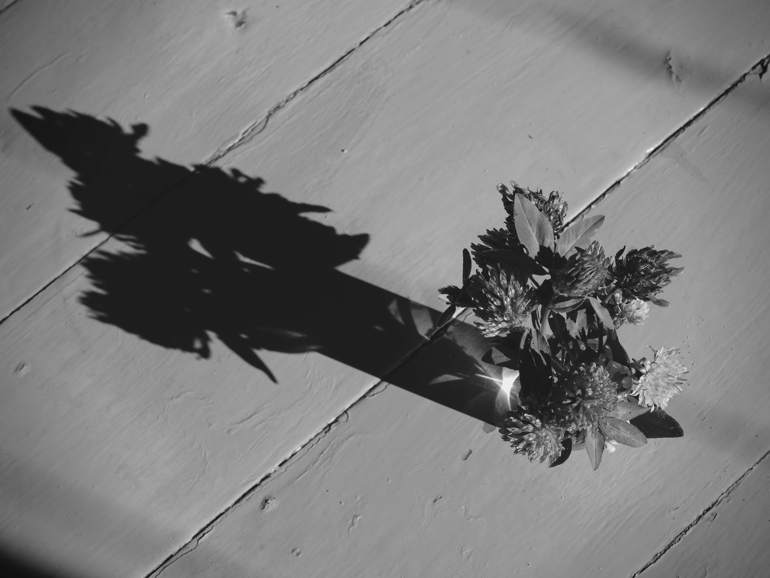 Distance. Artem Glukhan