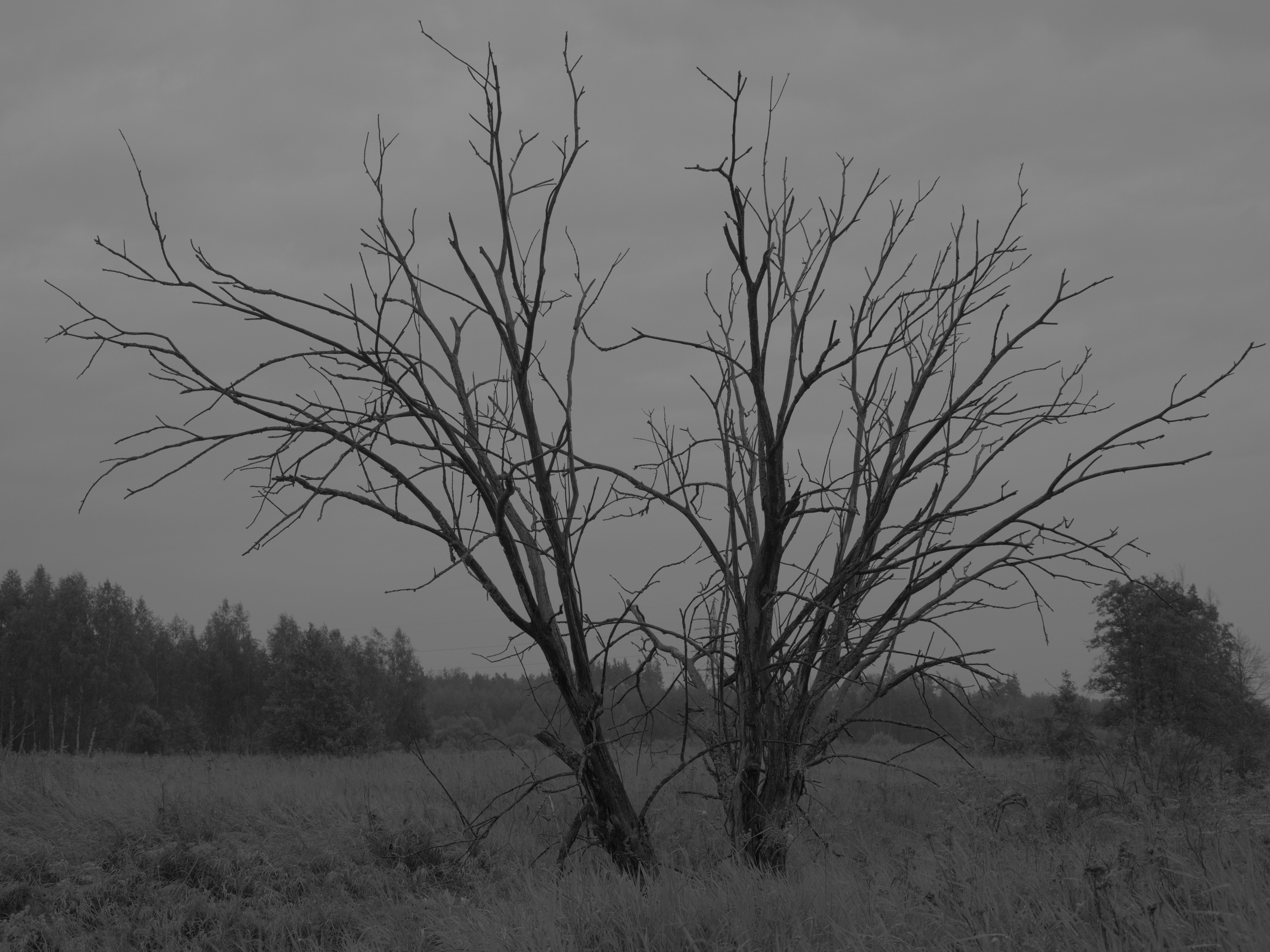 Distance. Artem Glukhan