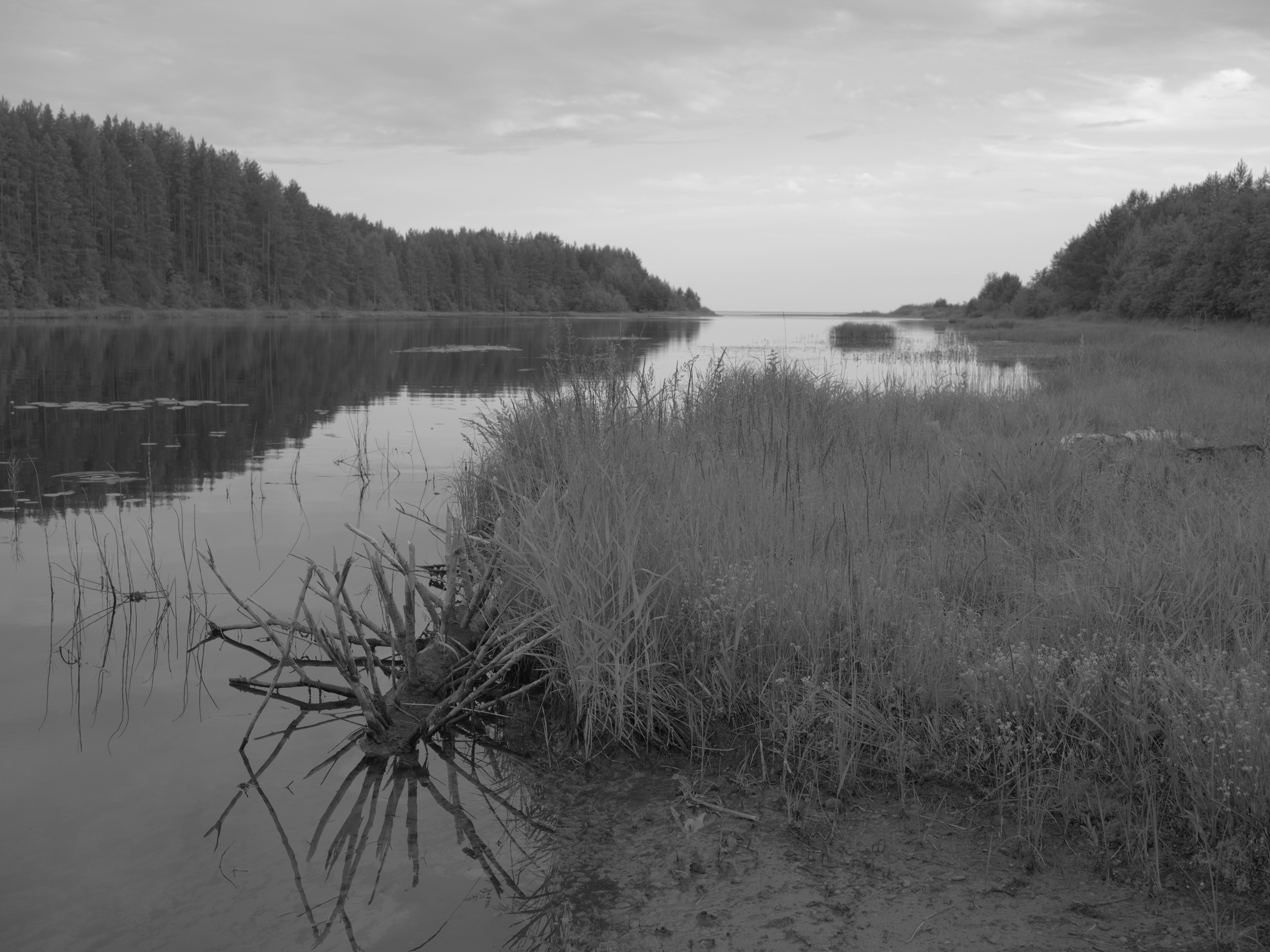 Distance. Artem Glukhan