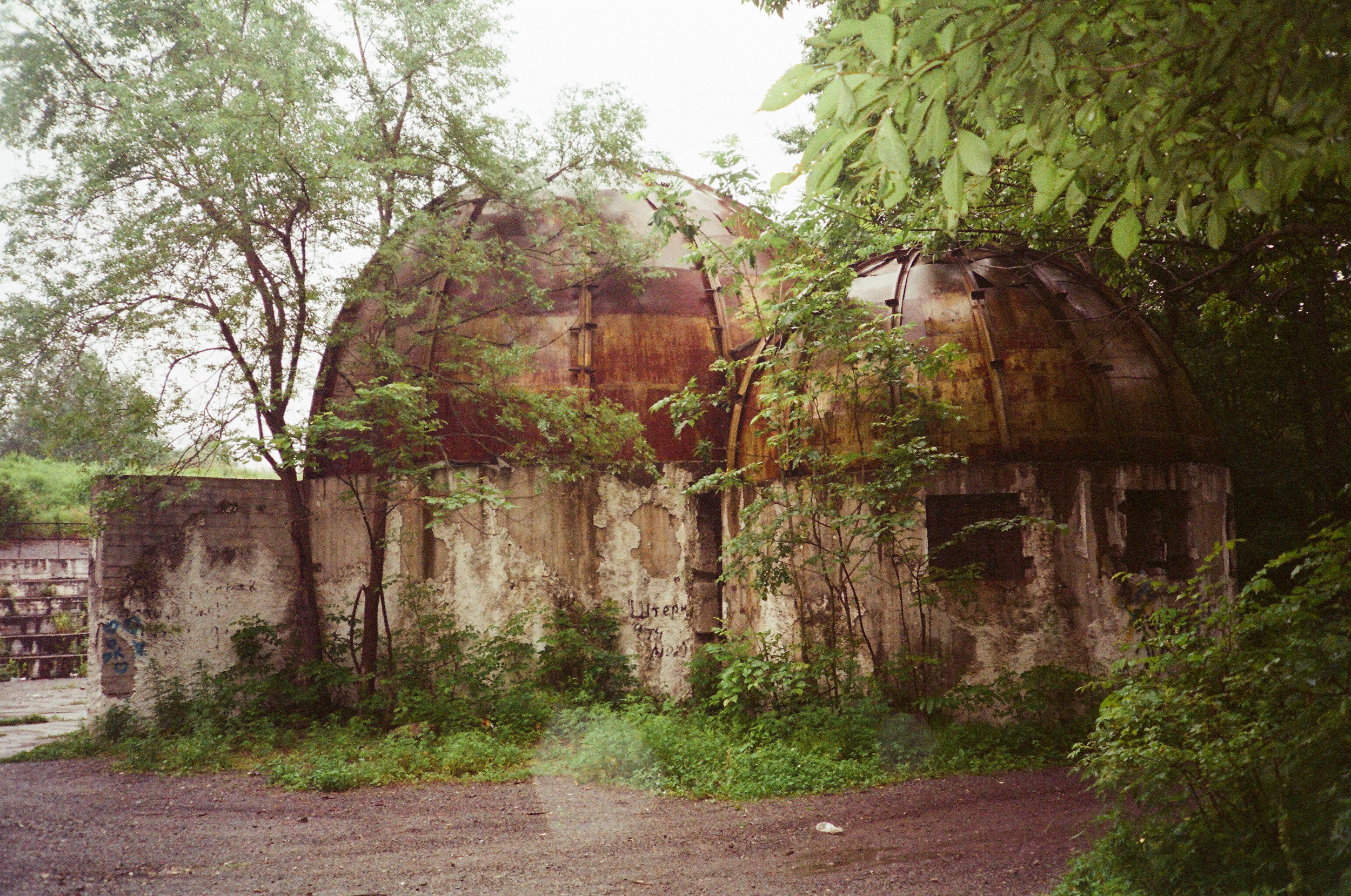 Valley of the Wild. Evgeniya Kokurina