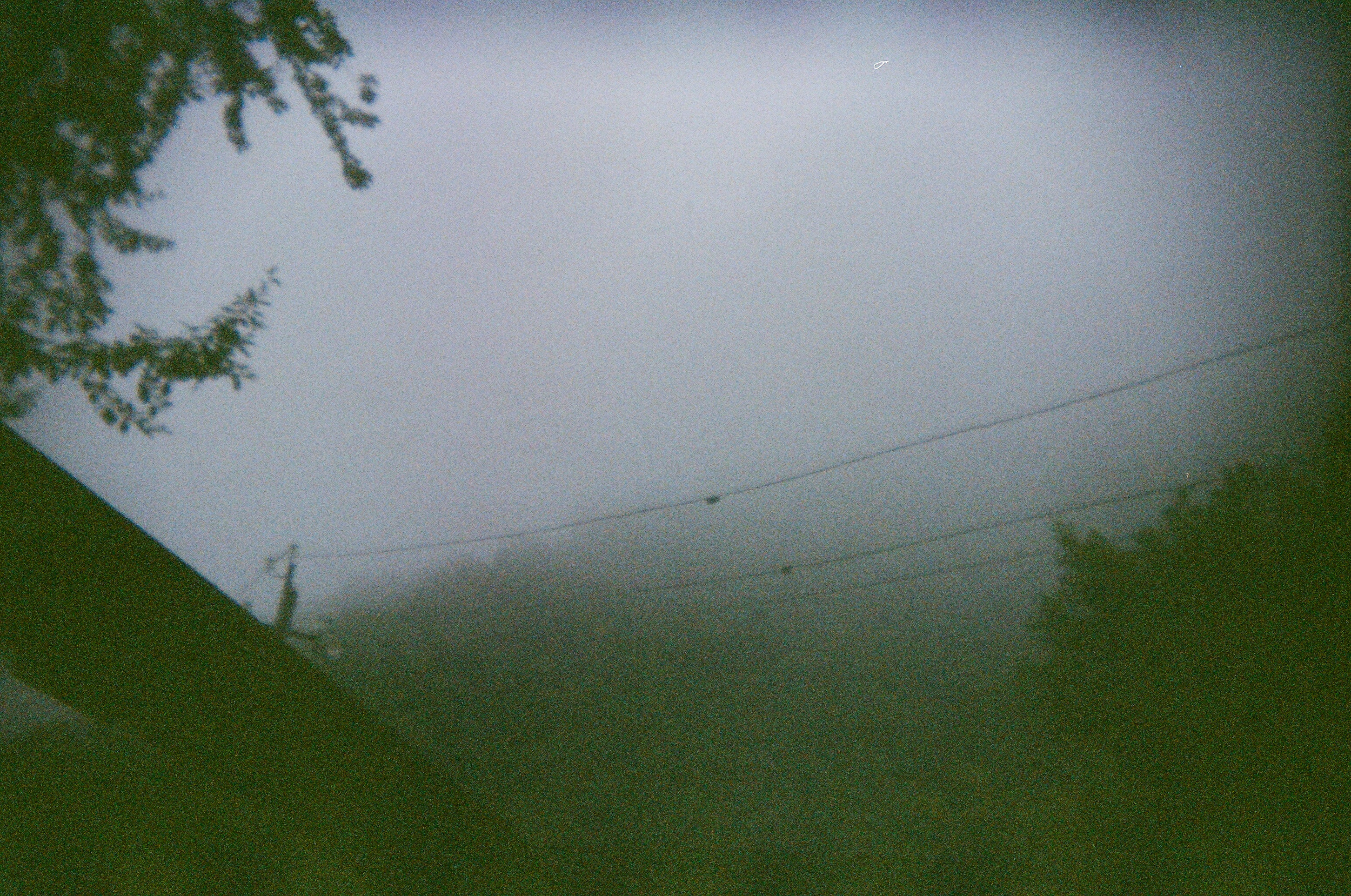 Valley of the Wild. Evgeniya Kokurina