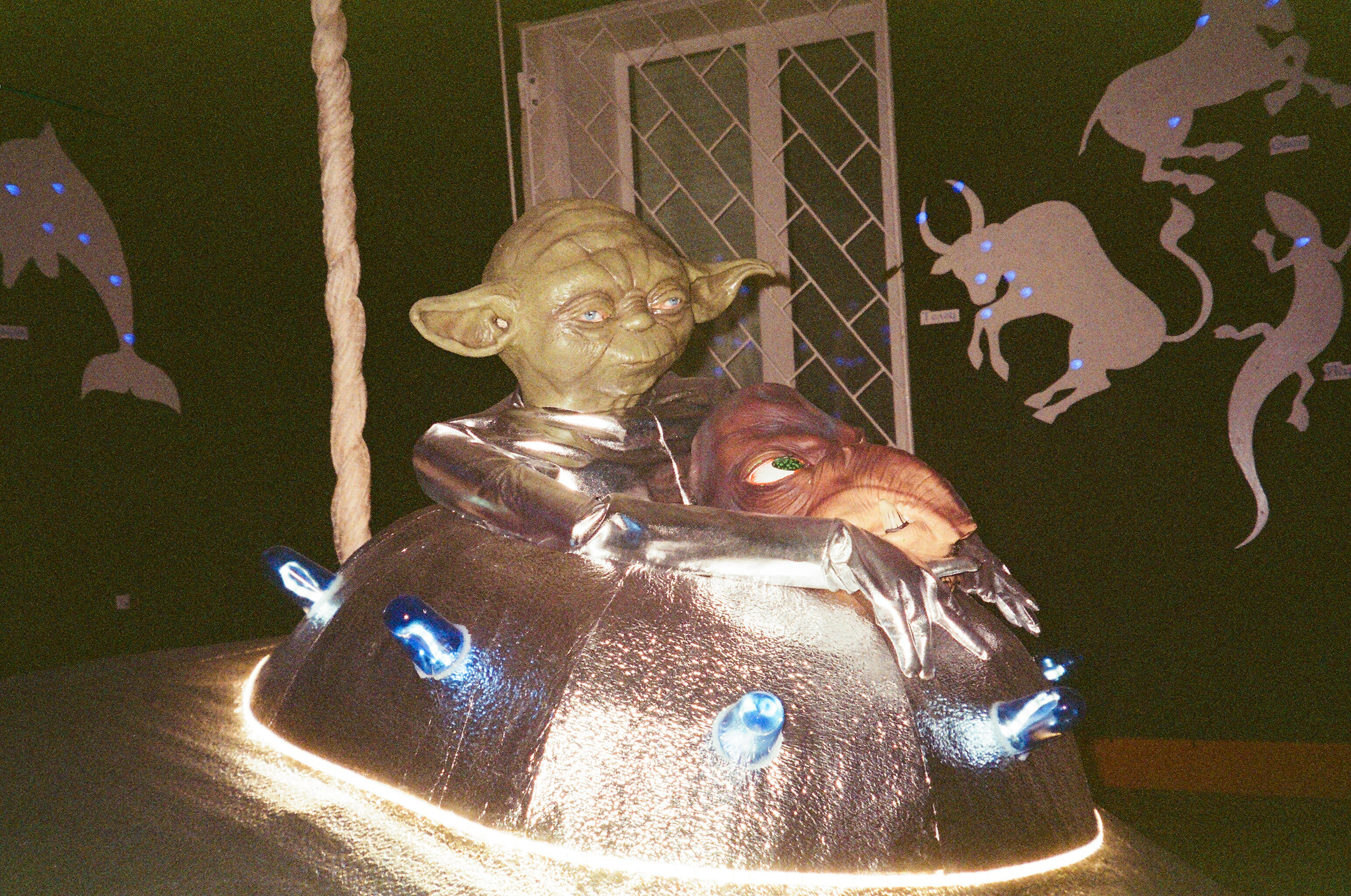 Valley of the Wild. Evgeniya Kokurina