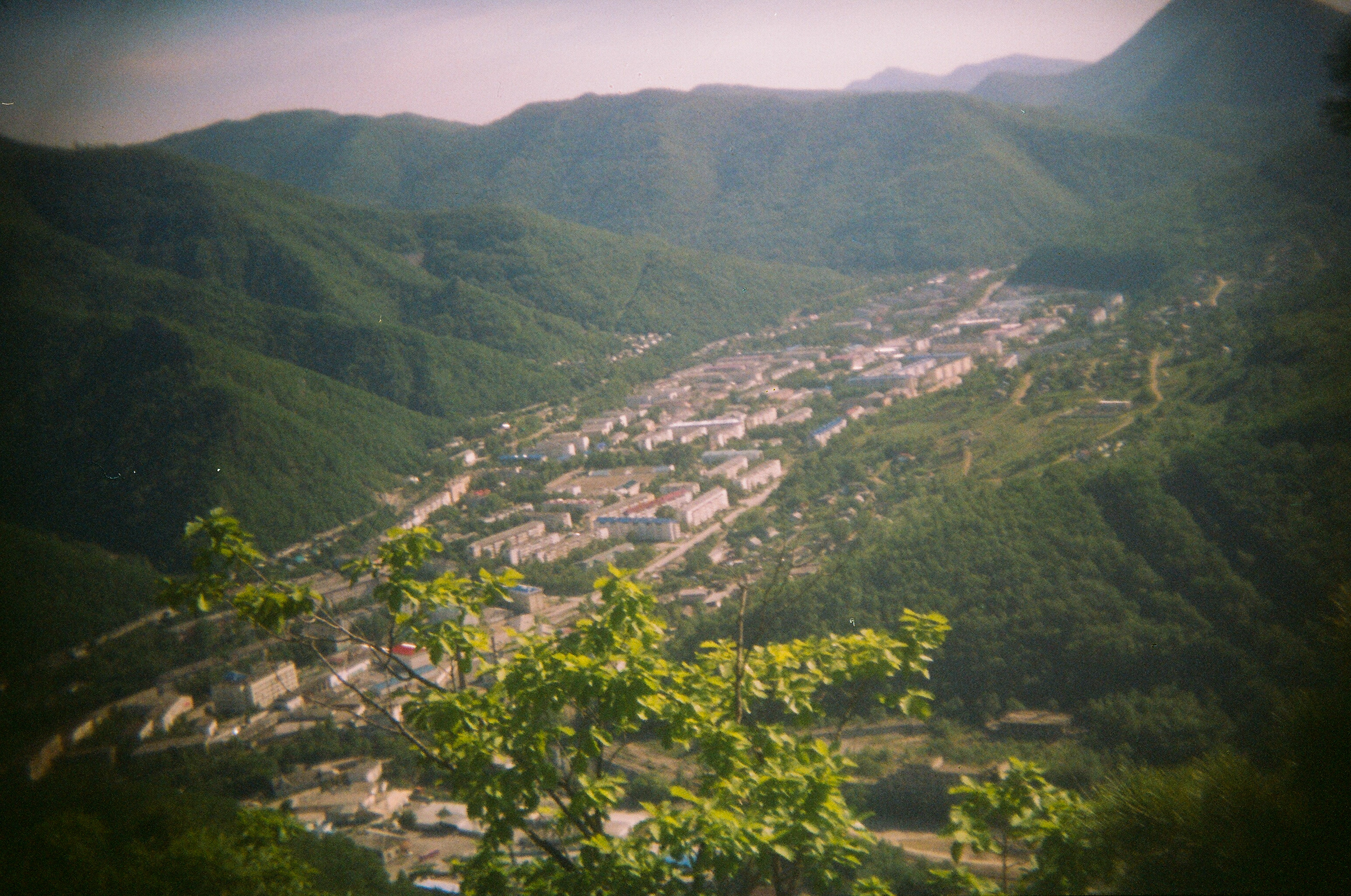 Valley of the Wild. Evgeniya Kokurina