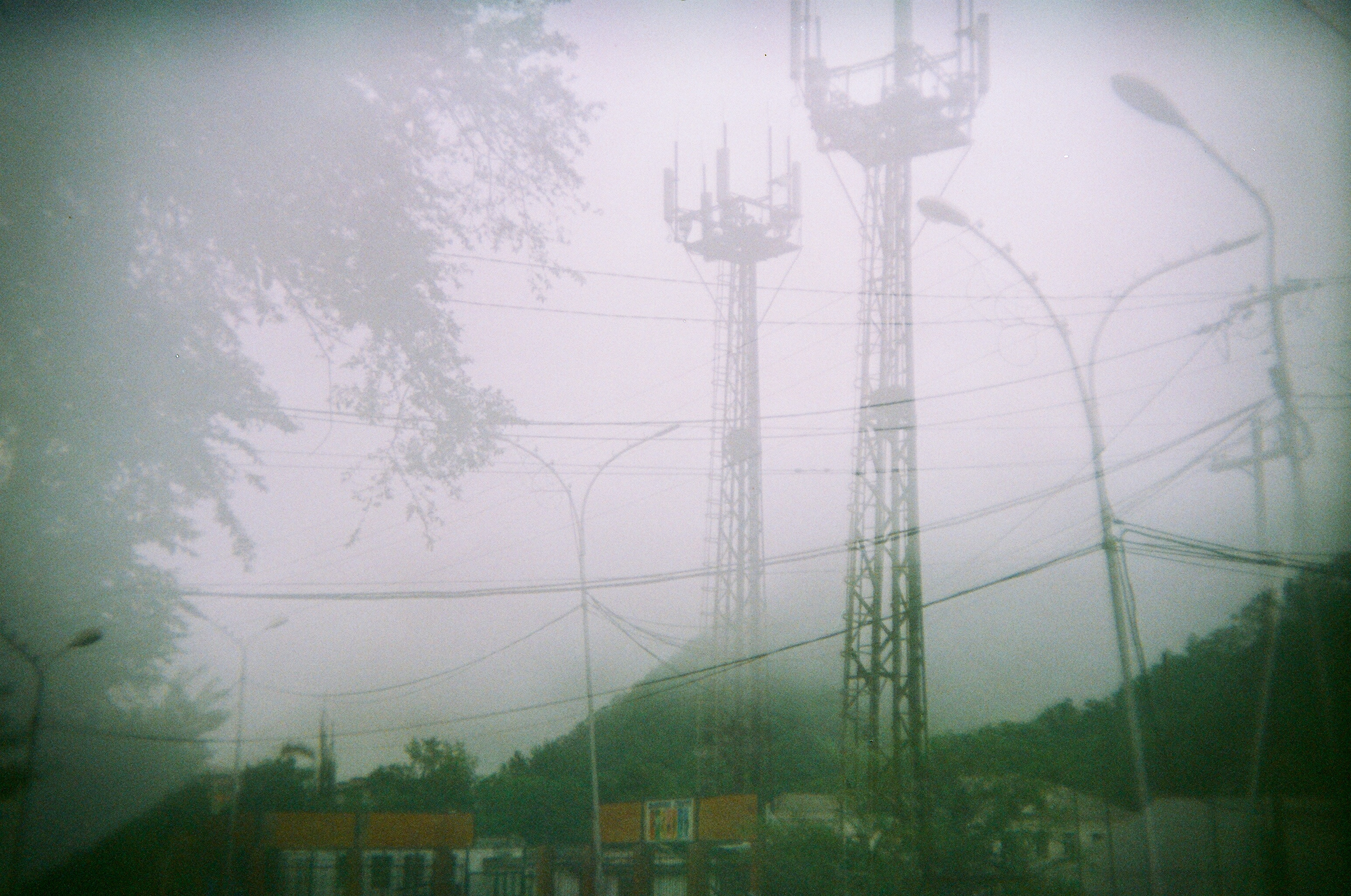 Valley of the Wild. Evgeniya Kokurina