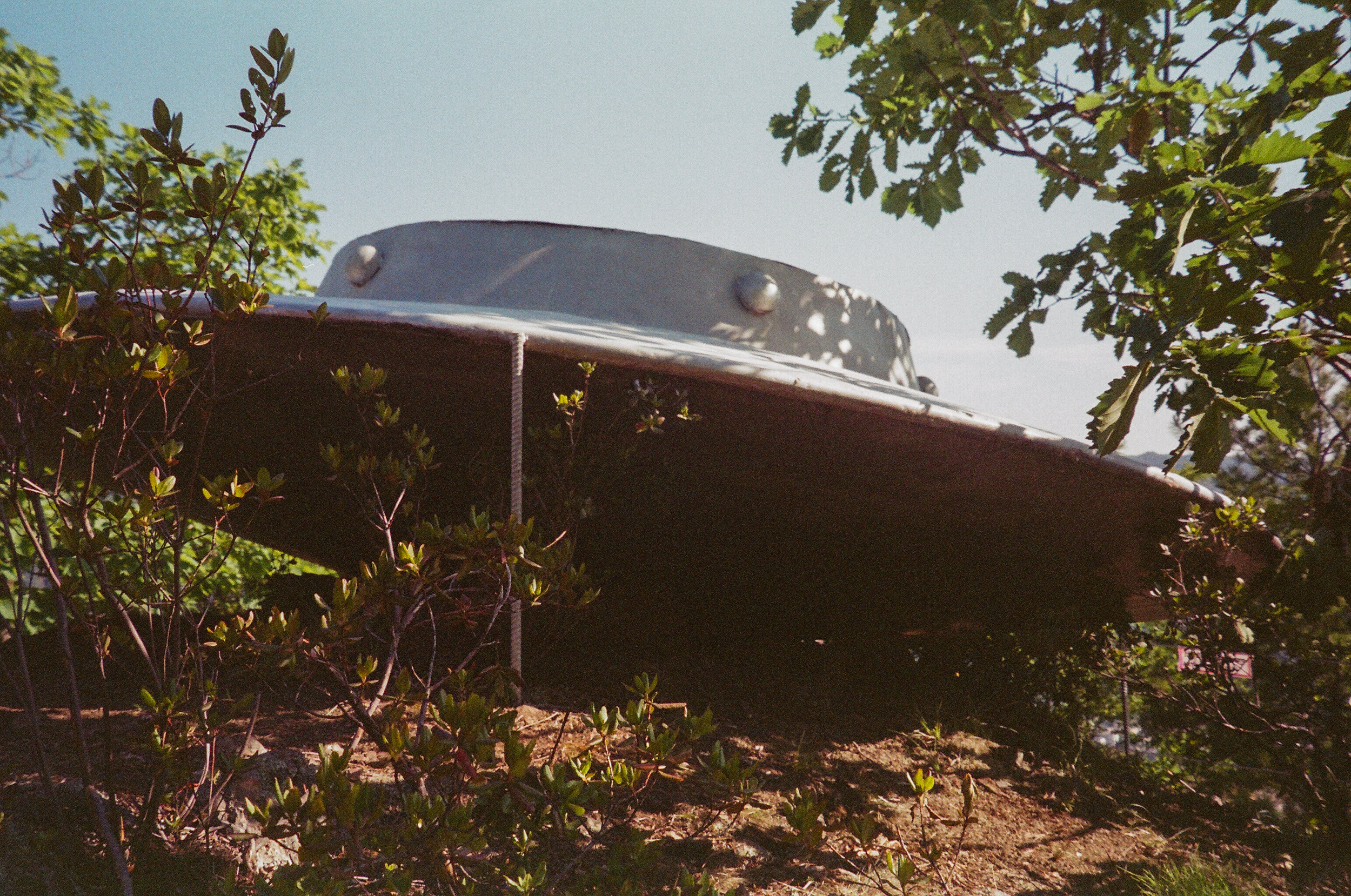 Valley of the Wild. Evgeniya Kokurina