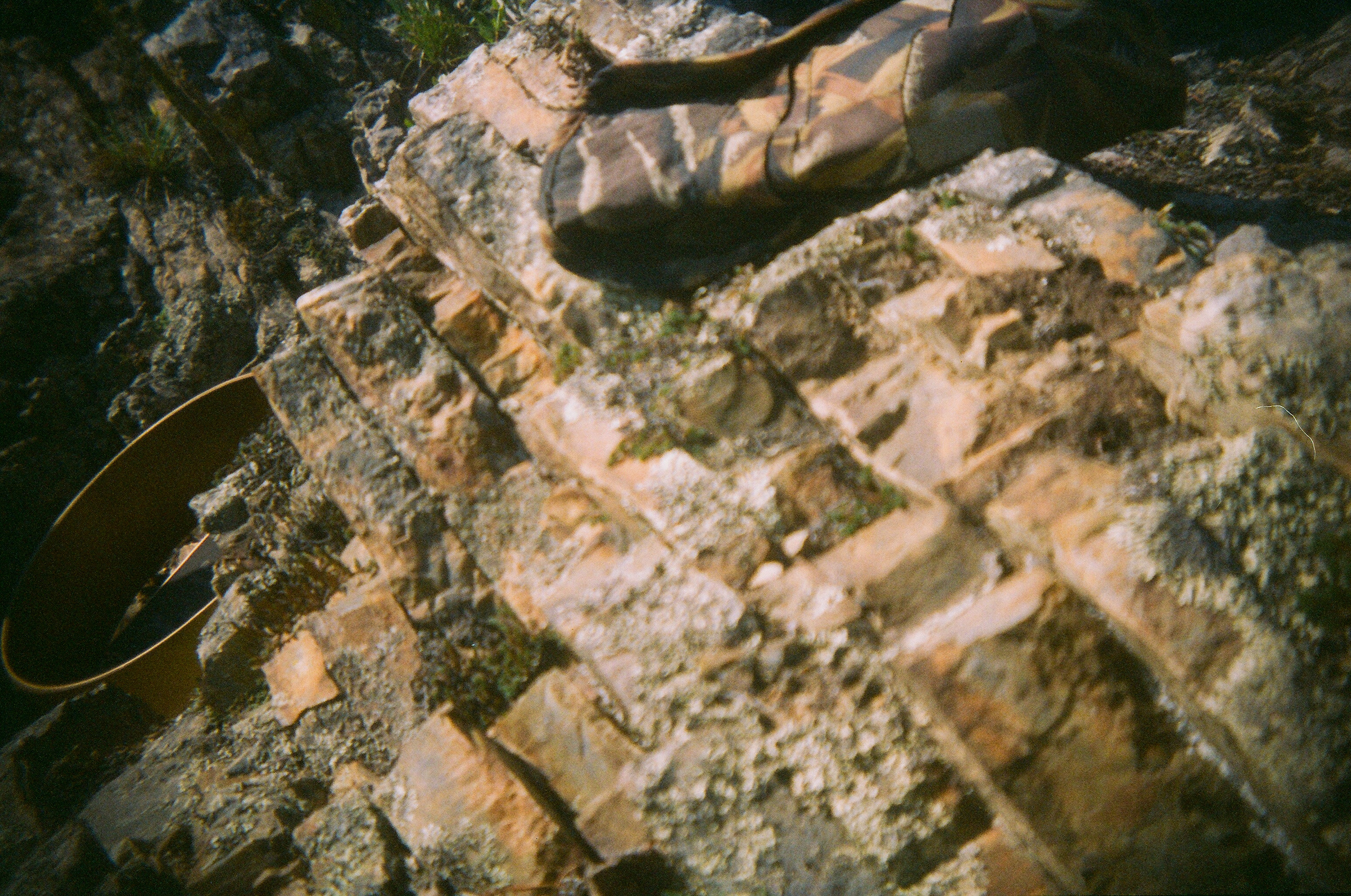 Valley of the Wild. Evgeniya Kokurina