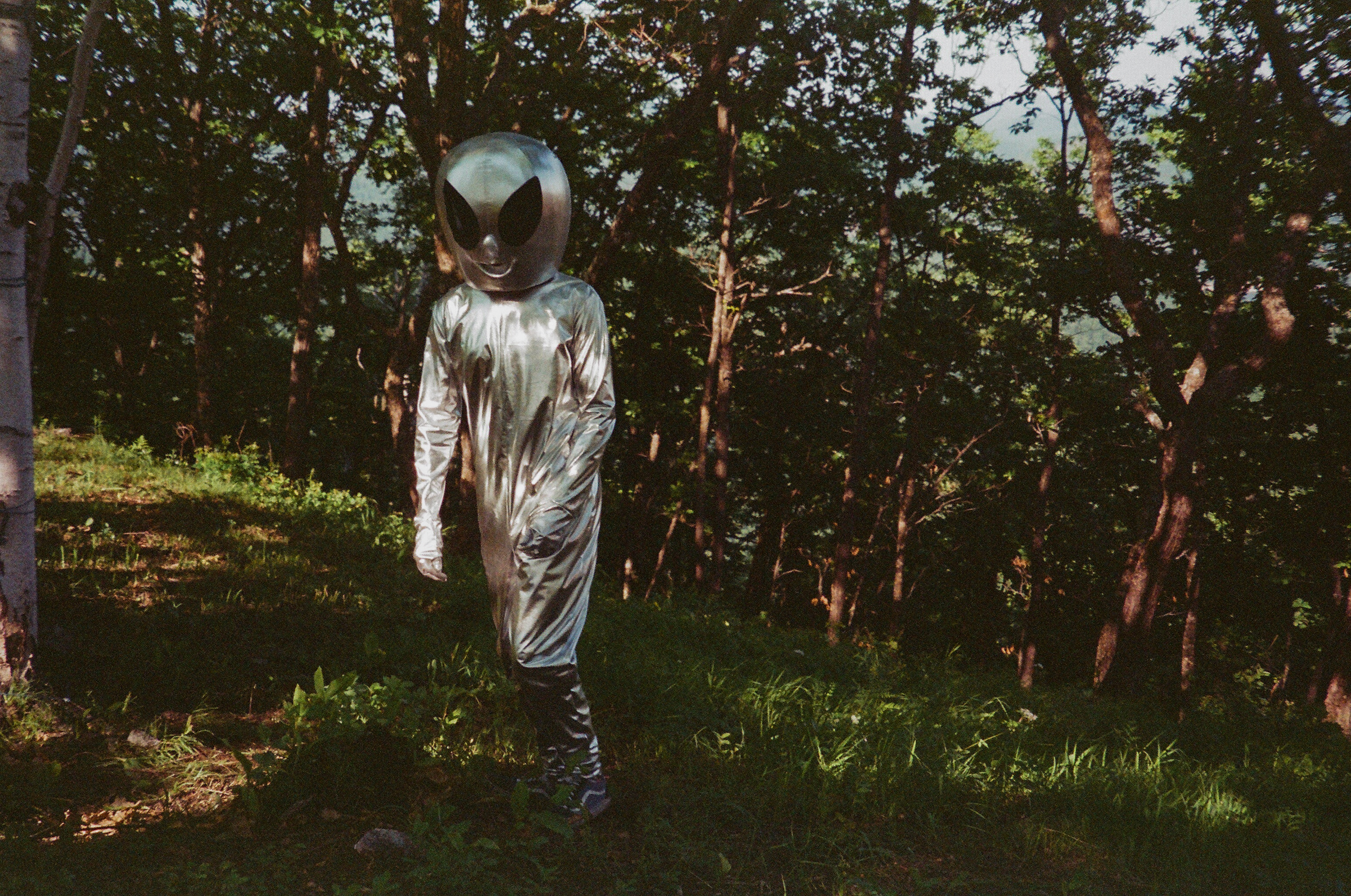 Valley of the Wild. Evgeniya Kokurina