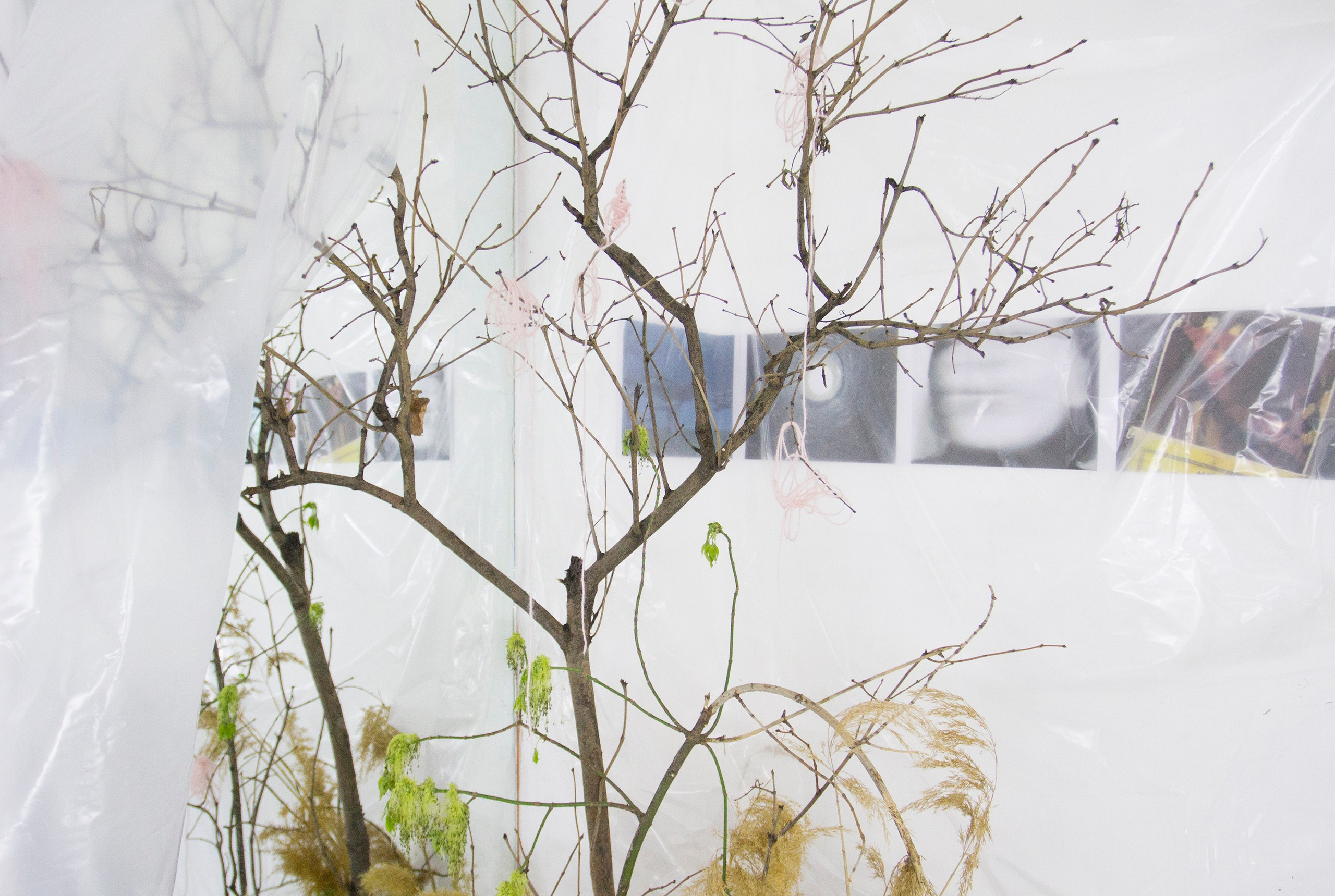 2024, The exhibition «How Do You Smell?». KST