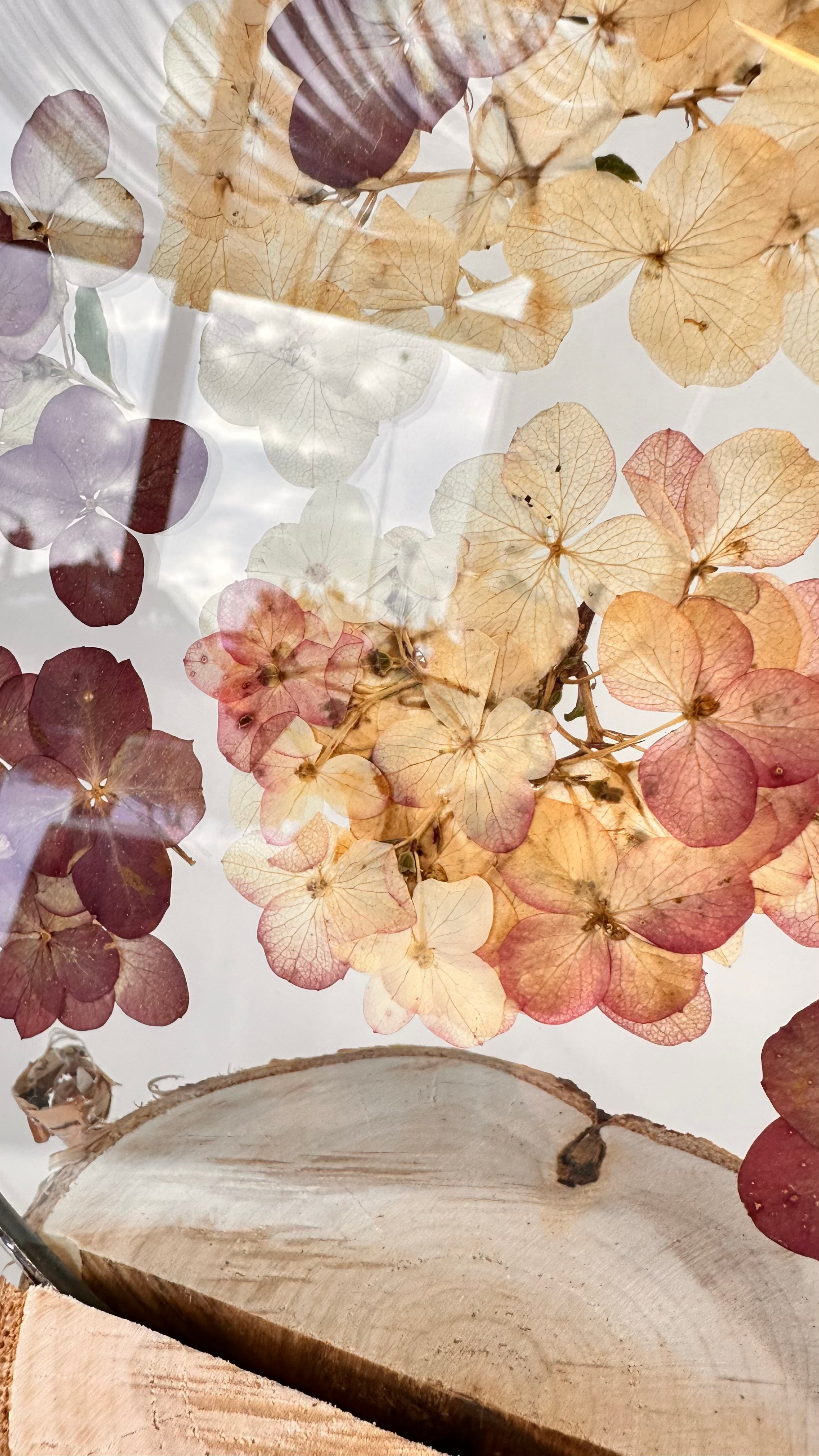 Гортензия круг 20 см. Оформляю пространства. Витражи с сухоцветами в технике Тиффани