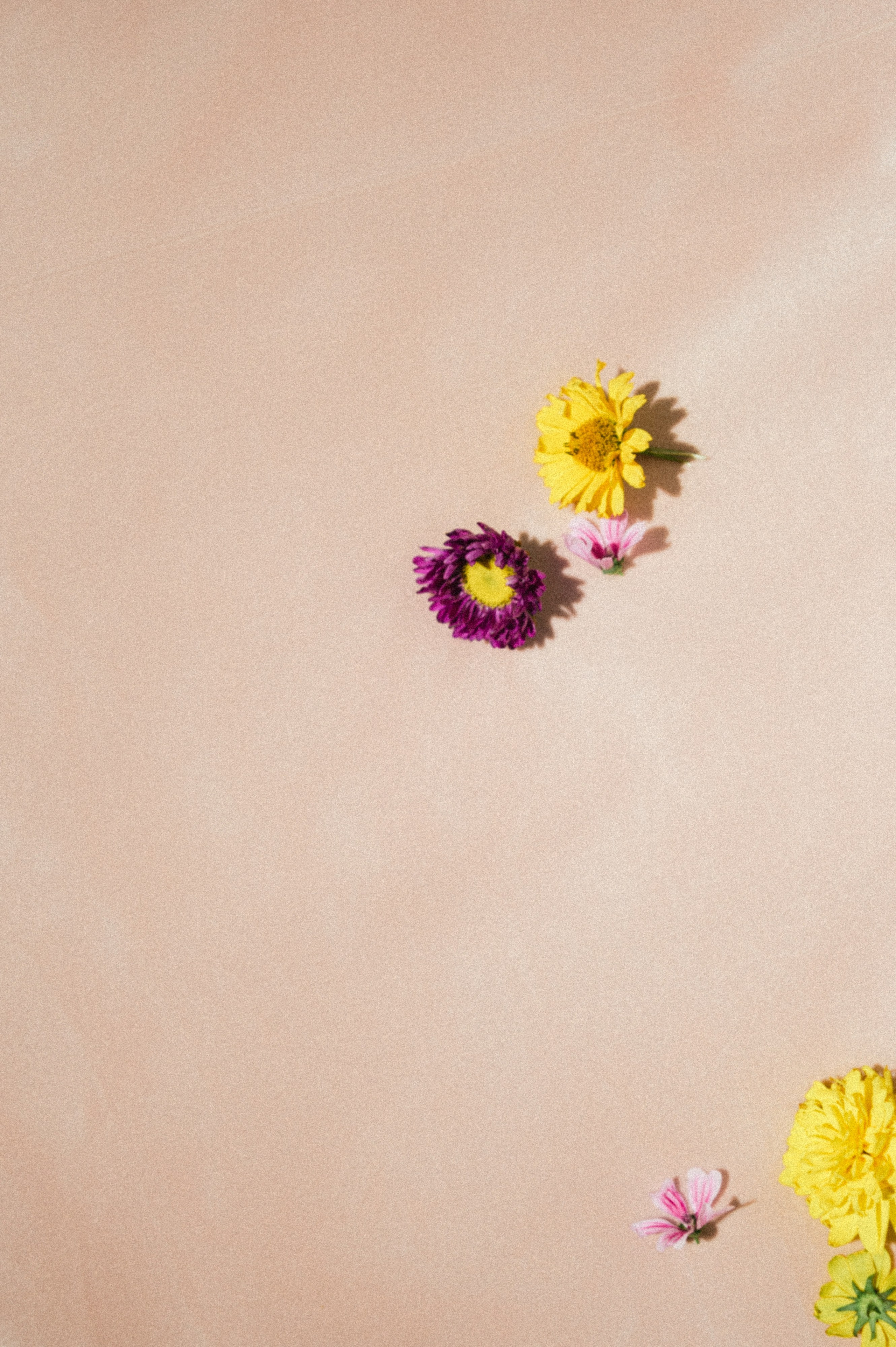 Свадебный фотограф Ростов-на- Дону, Краснодар, Москва