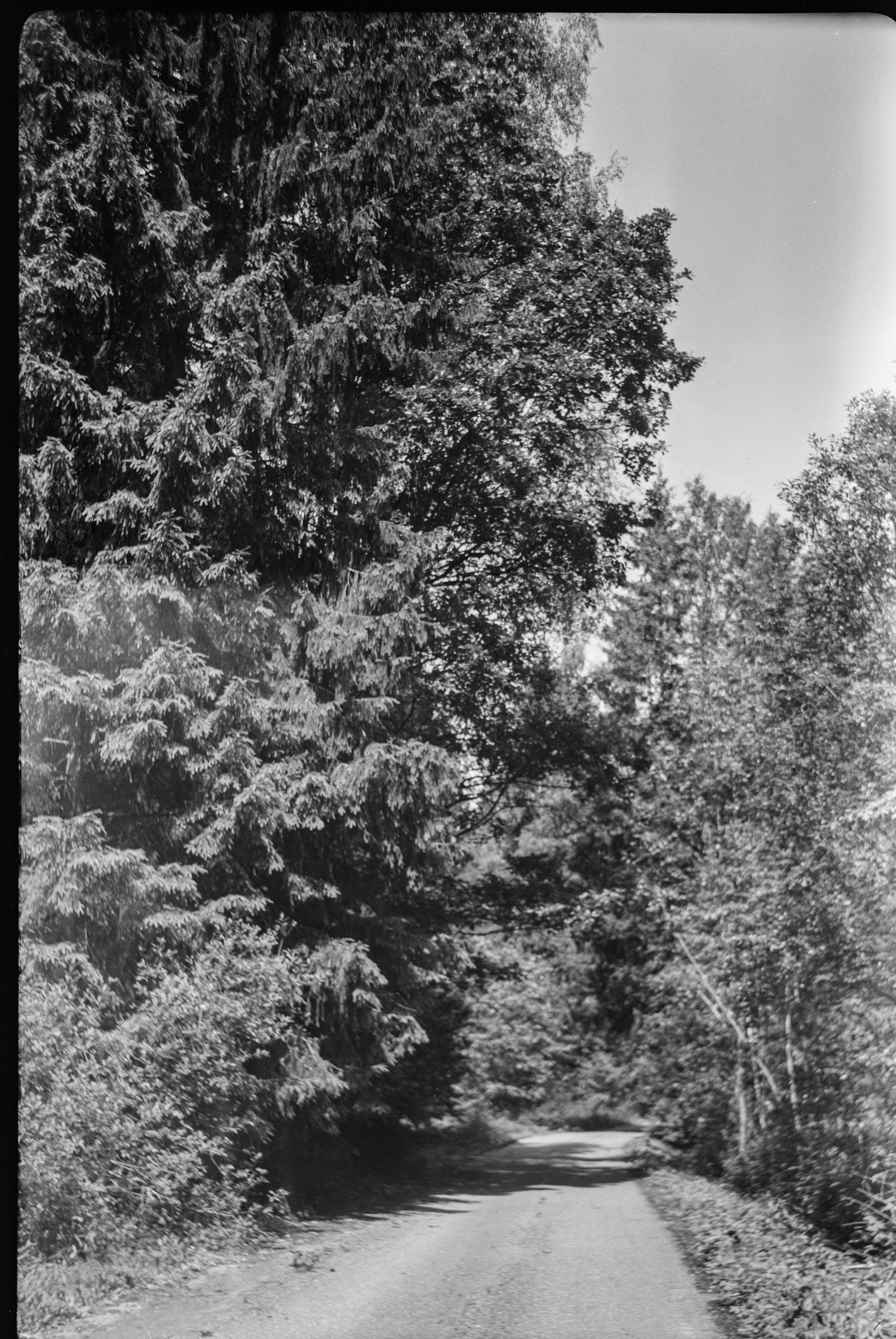 Royer - Som Berthiot Peris Flor 105mm f4.5