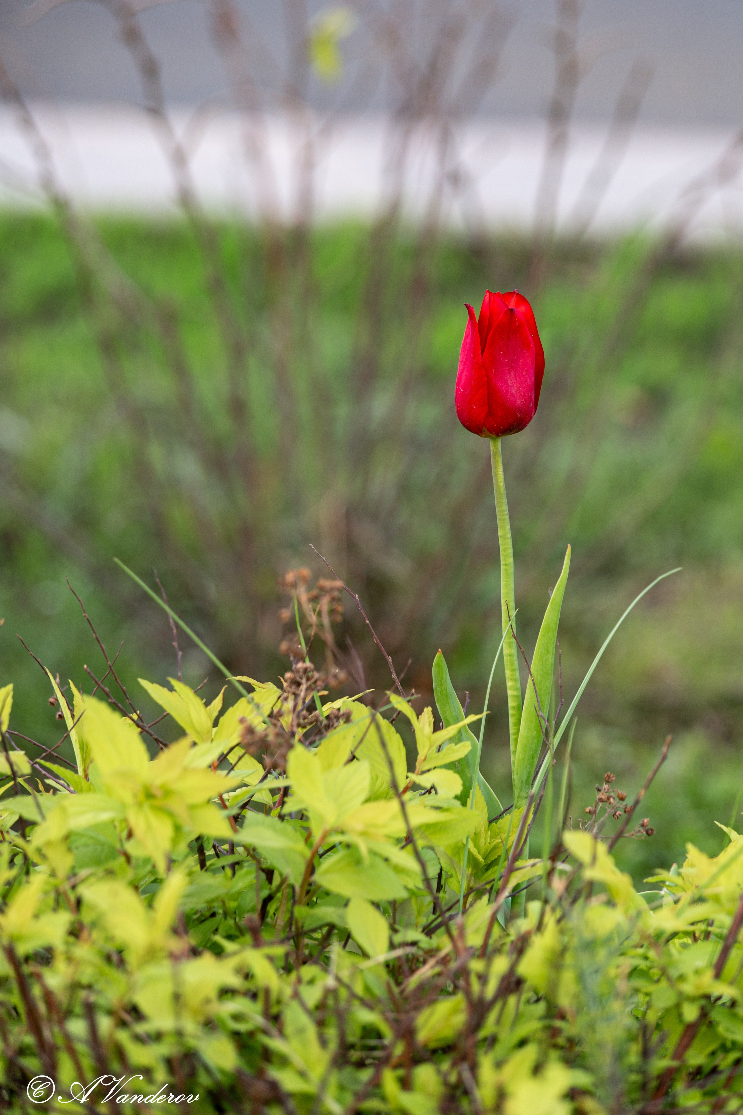 Прогулка 22.05.2024. Фотограф Омск | Александр Вандеров