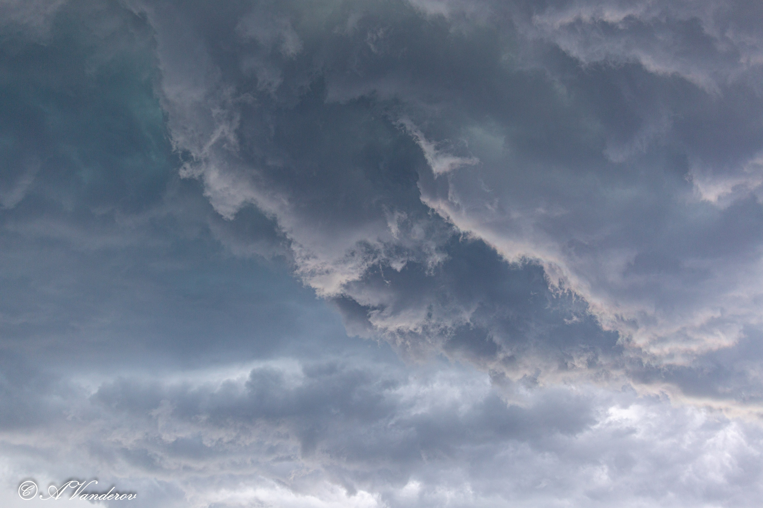 Прогулка 22.05.2024. Фотограф Омск | Александр Вандеров