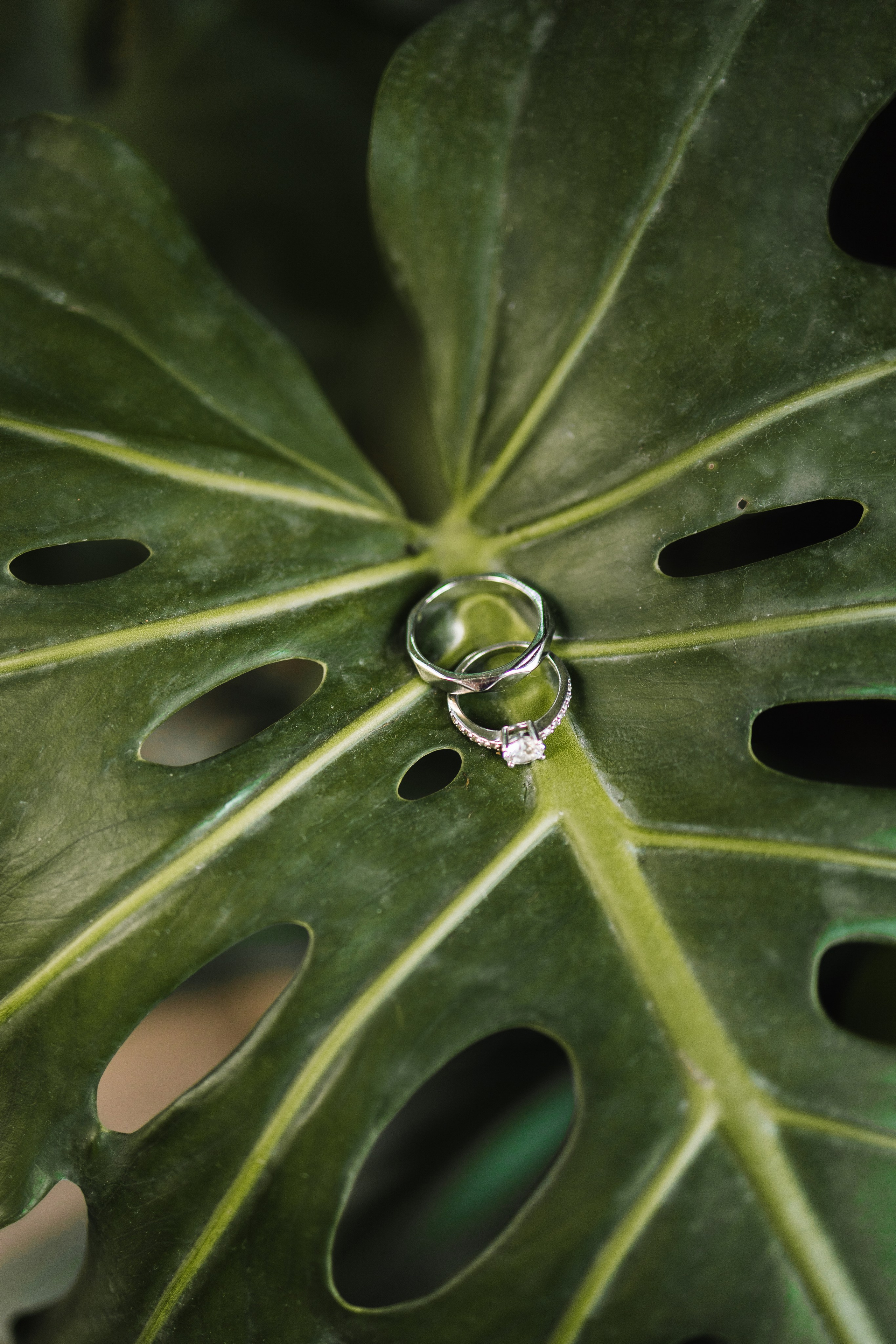 Свадебный фотограф Санкт-Петербург — Юлия Малькова