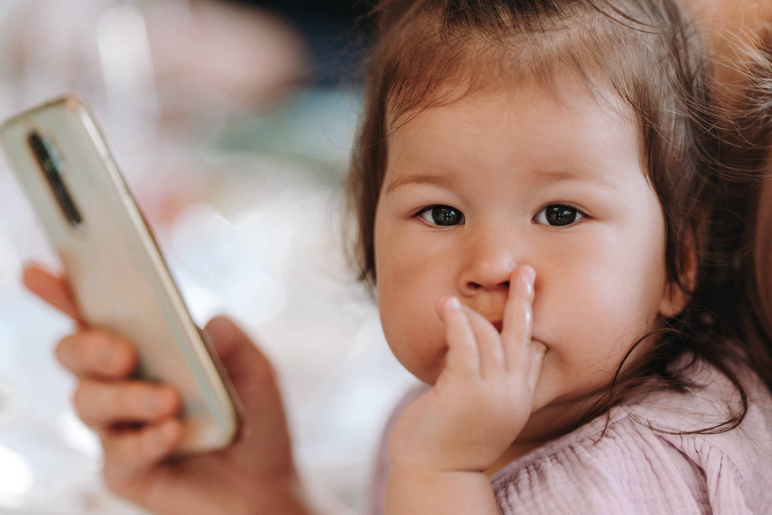 25 АВГУСТА 2024