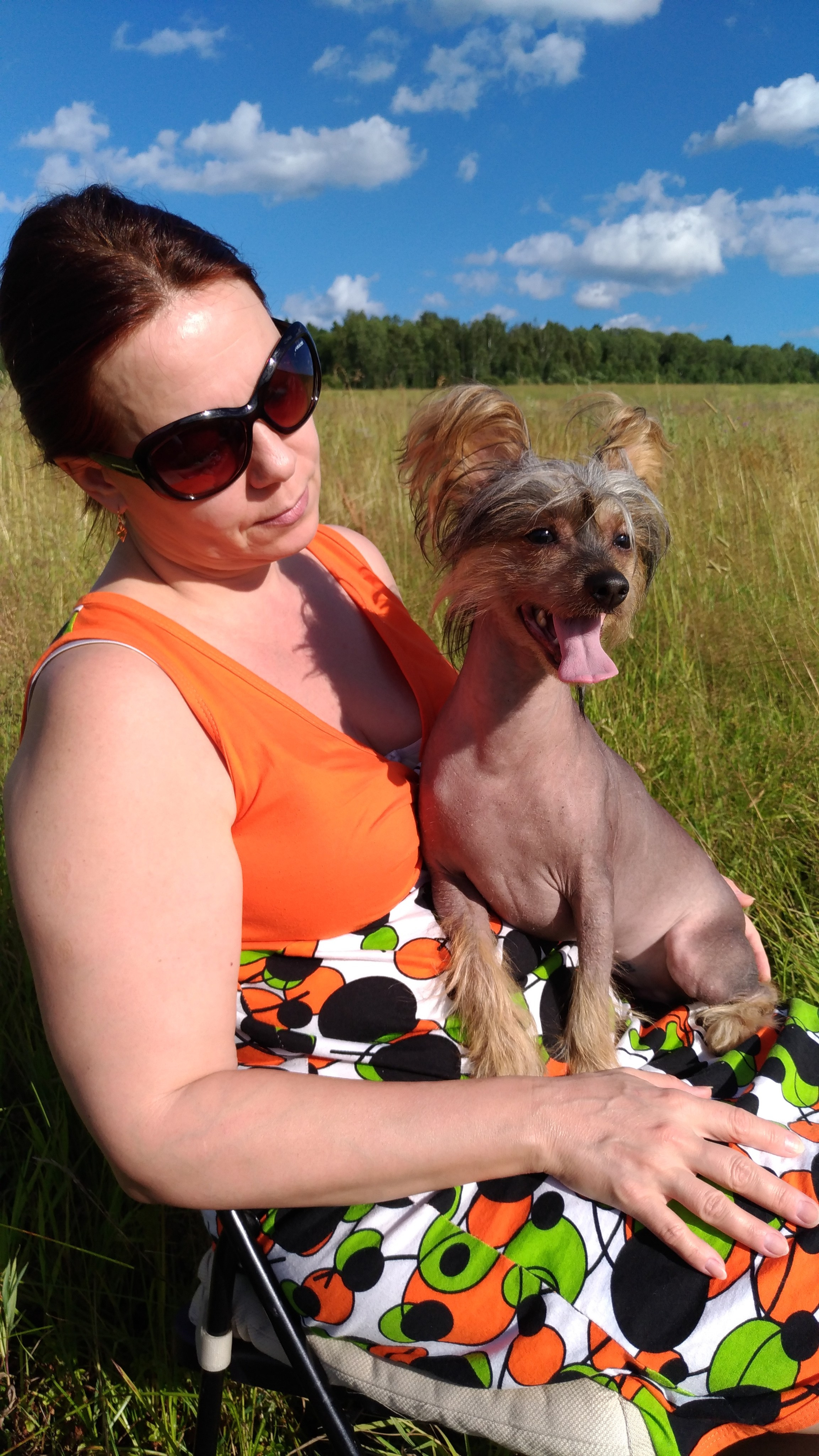 В поле под присмотром сокола. Питомник китайских хохлатых собак Poale Ell: купить щенка в питомнике