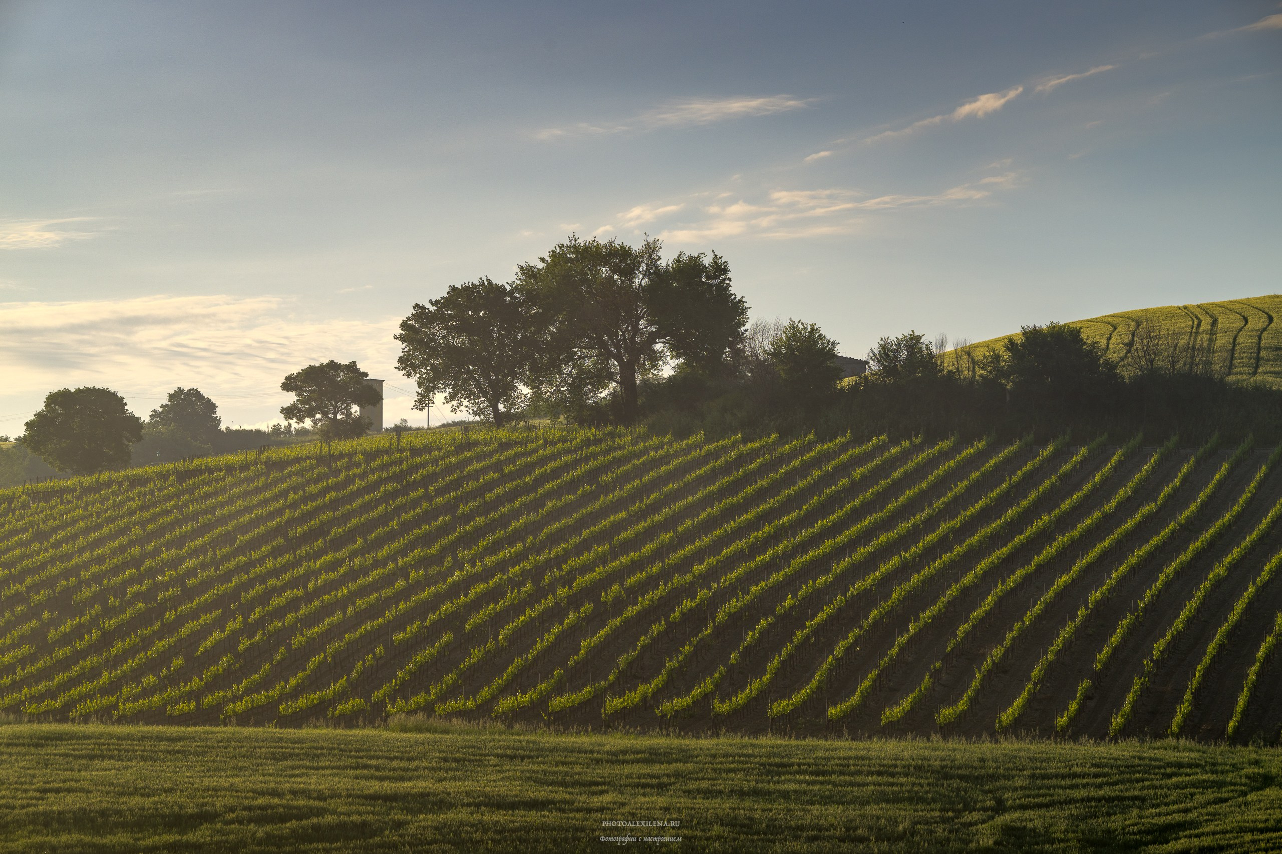 Долина Крете Сенези (Crete Senesi). Авторские стильные фотокартины