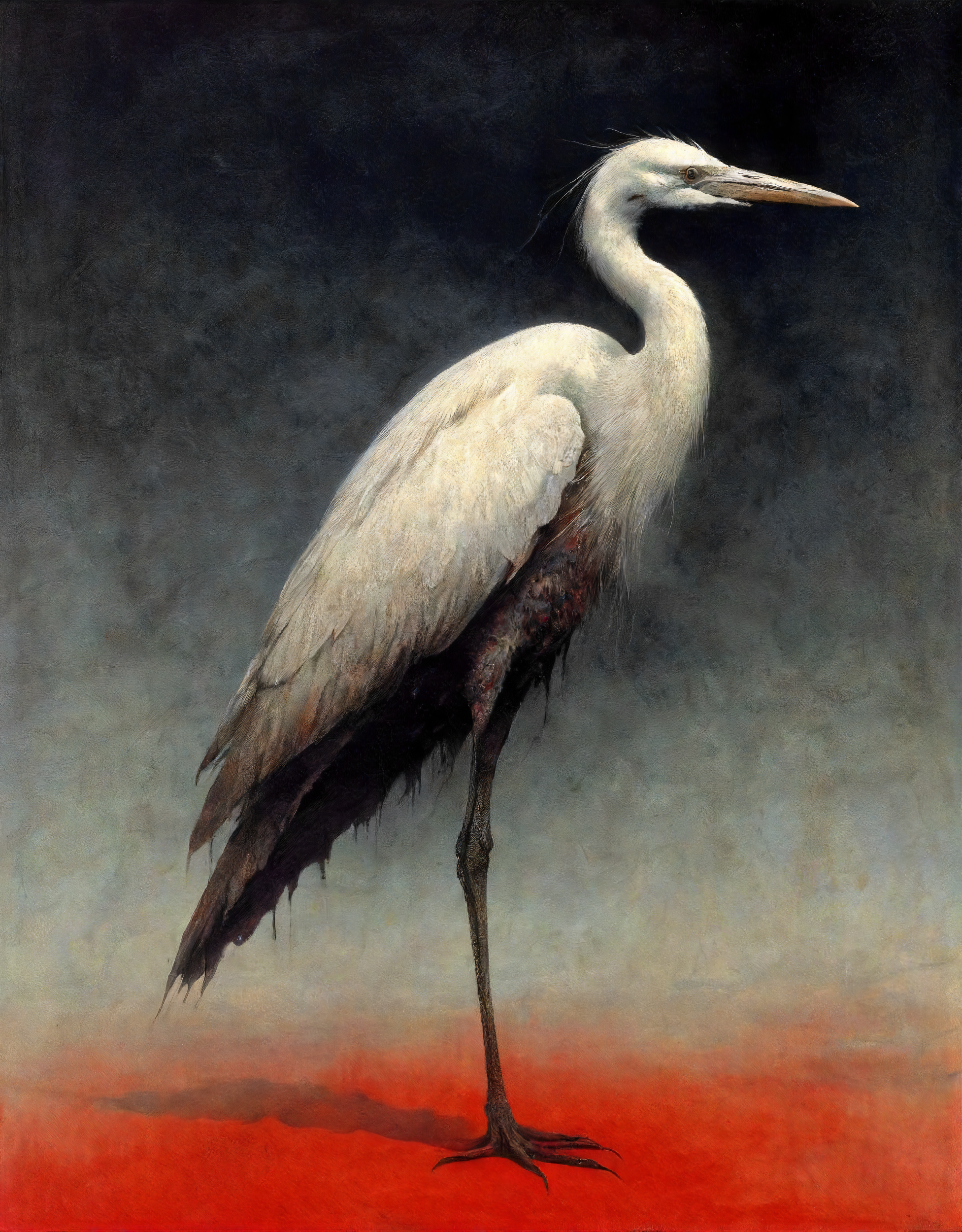 Постеры. Портретный фотограф