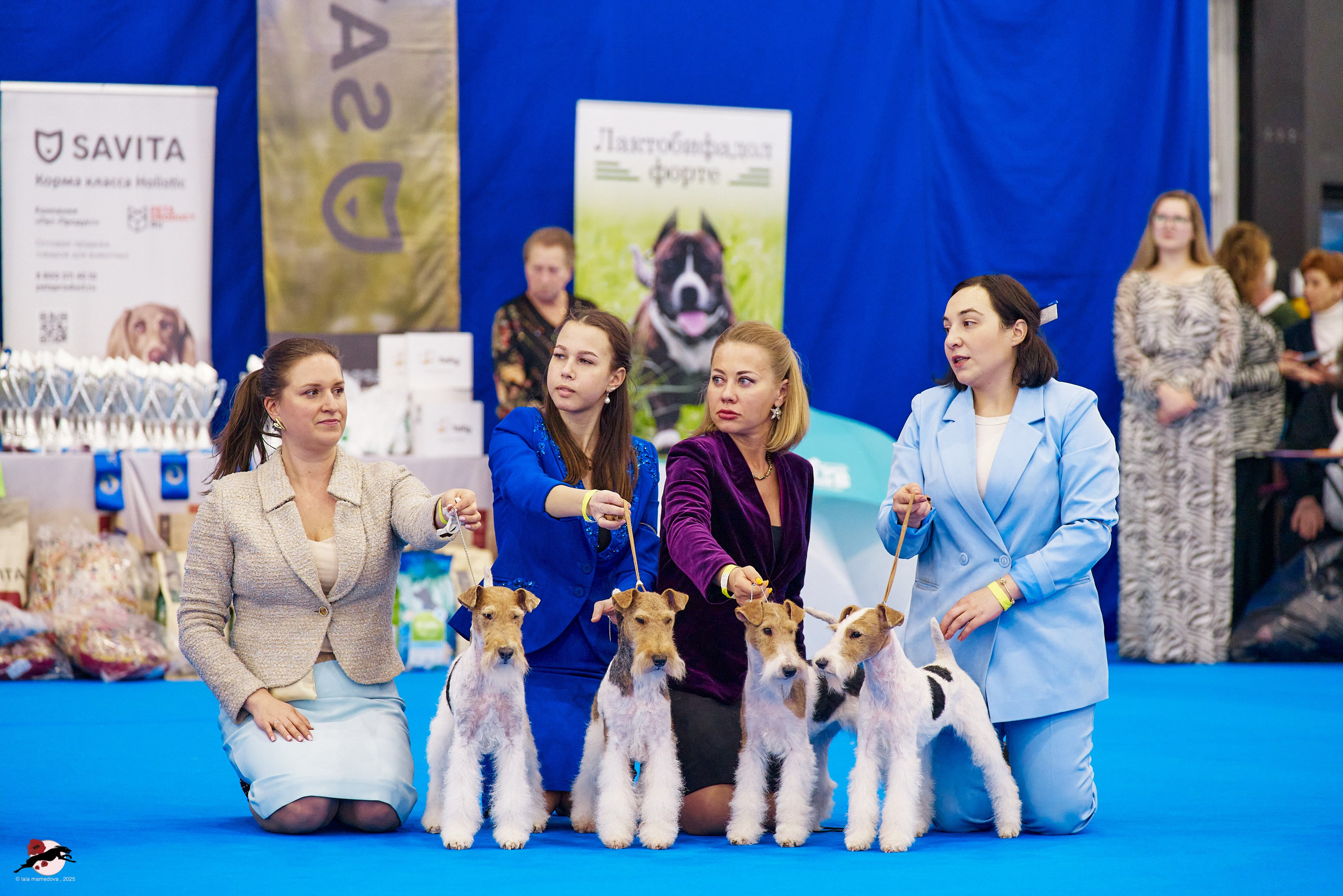 ГРАН ПРИ «ВЕСЕННИЙ ПЕТЕРБУРГ» & «СУПЕР КУБОК «ЭЛИТЫ»-2025»