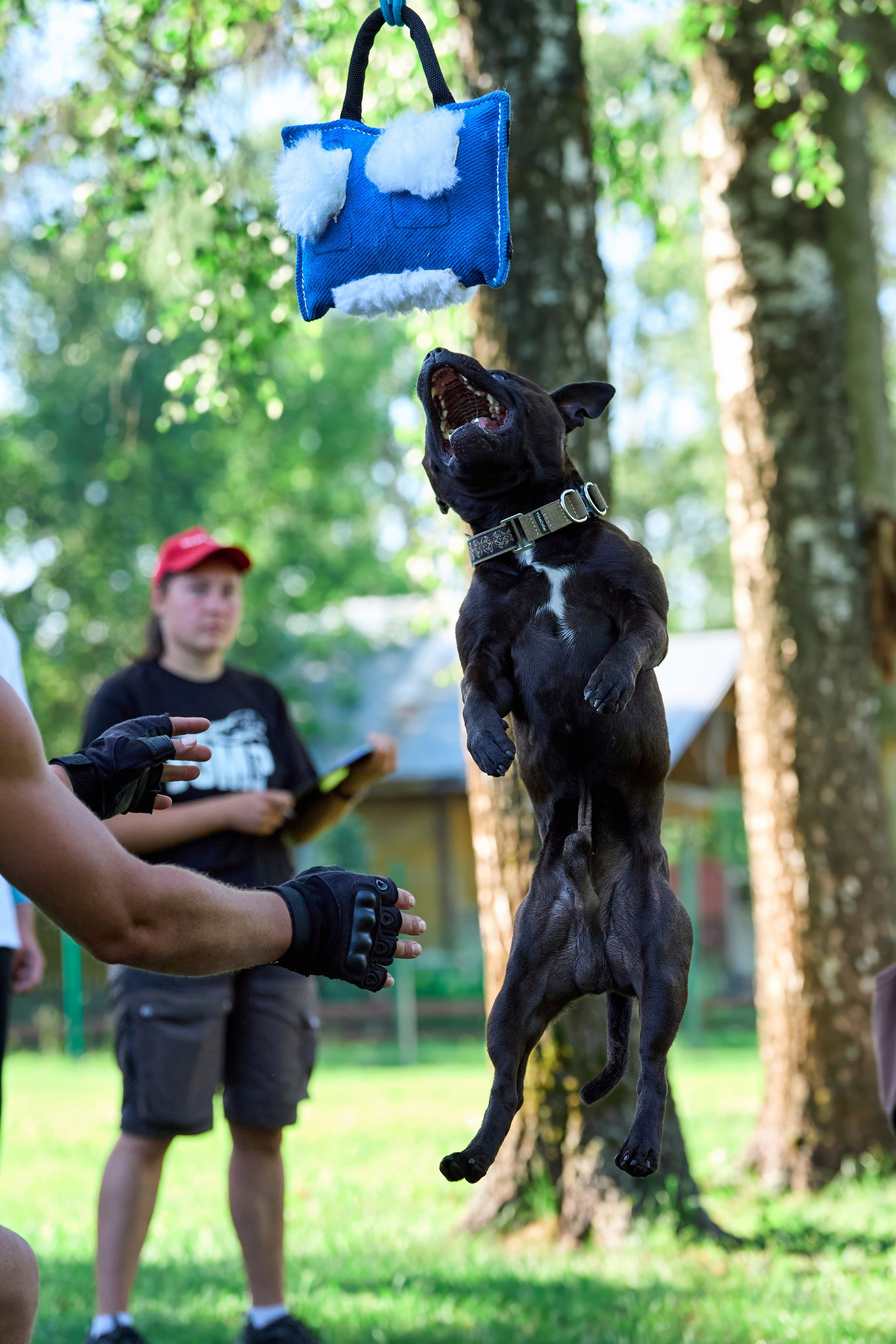 Двухдневные соревнования «Jump'n'Gym Fest — 2024». Фотограф-анималист Михаил Манухин