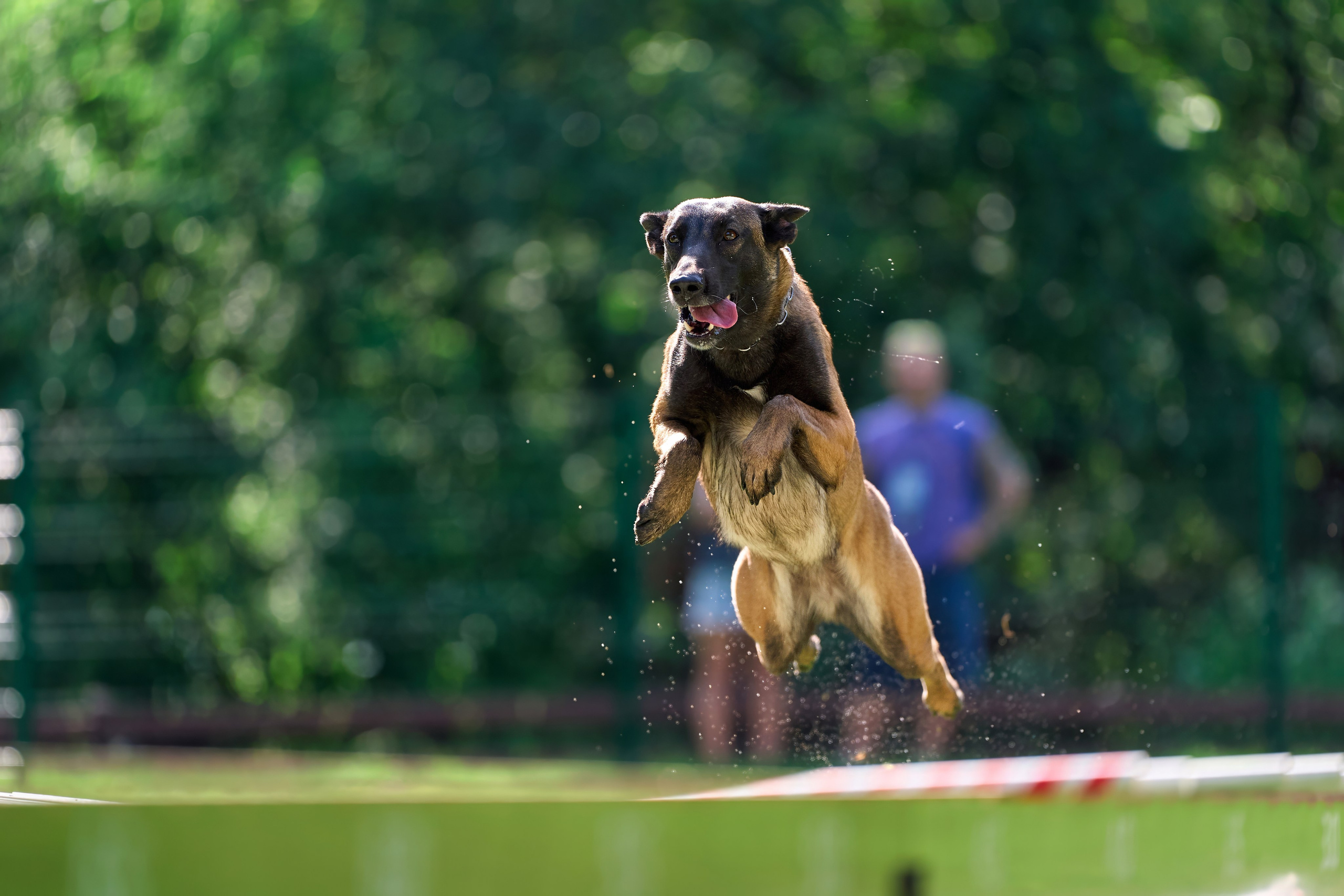 Двухдневные соревнования «Jump'n'Gym Fest — 2024». Фотограф-анималист Михаил Манухин