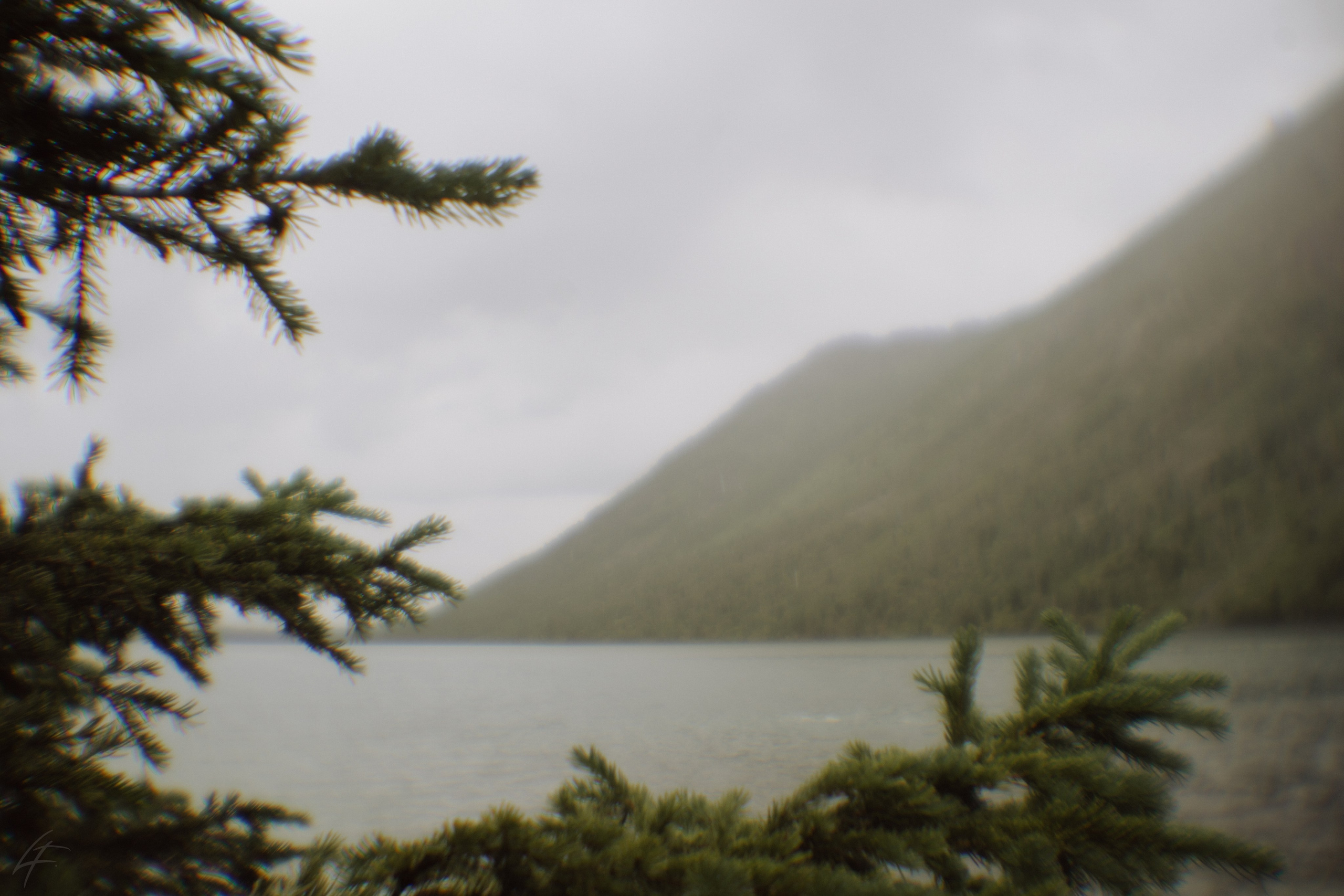 Алтай 2025. Лиза Фирстова