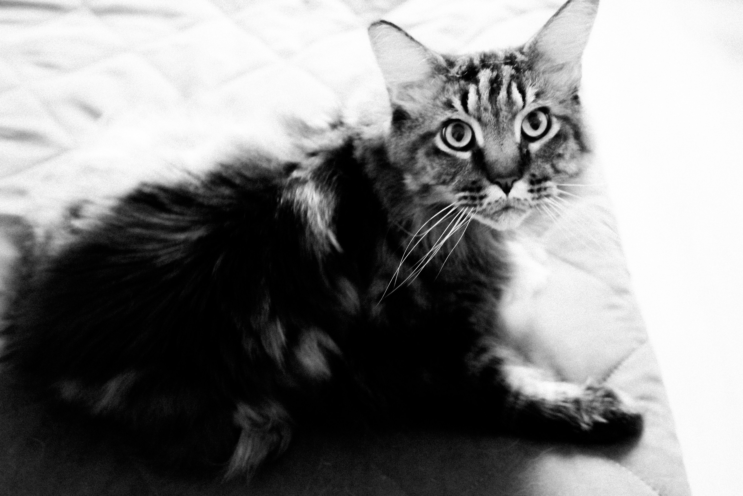 Семейный фотограф в Ростове-на-Дону. Мероприятия, крещение. Екатерина Балецкая