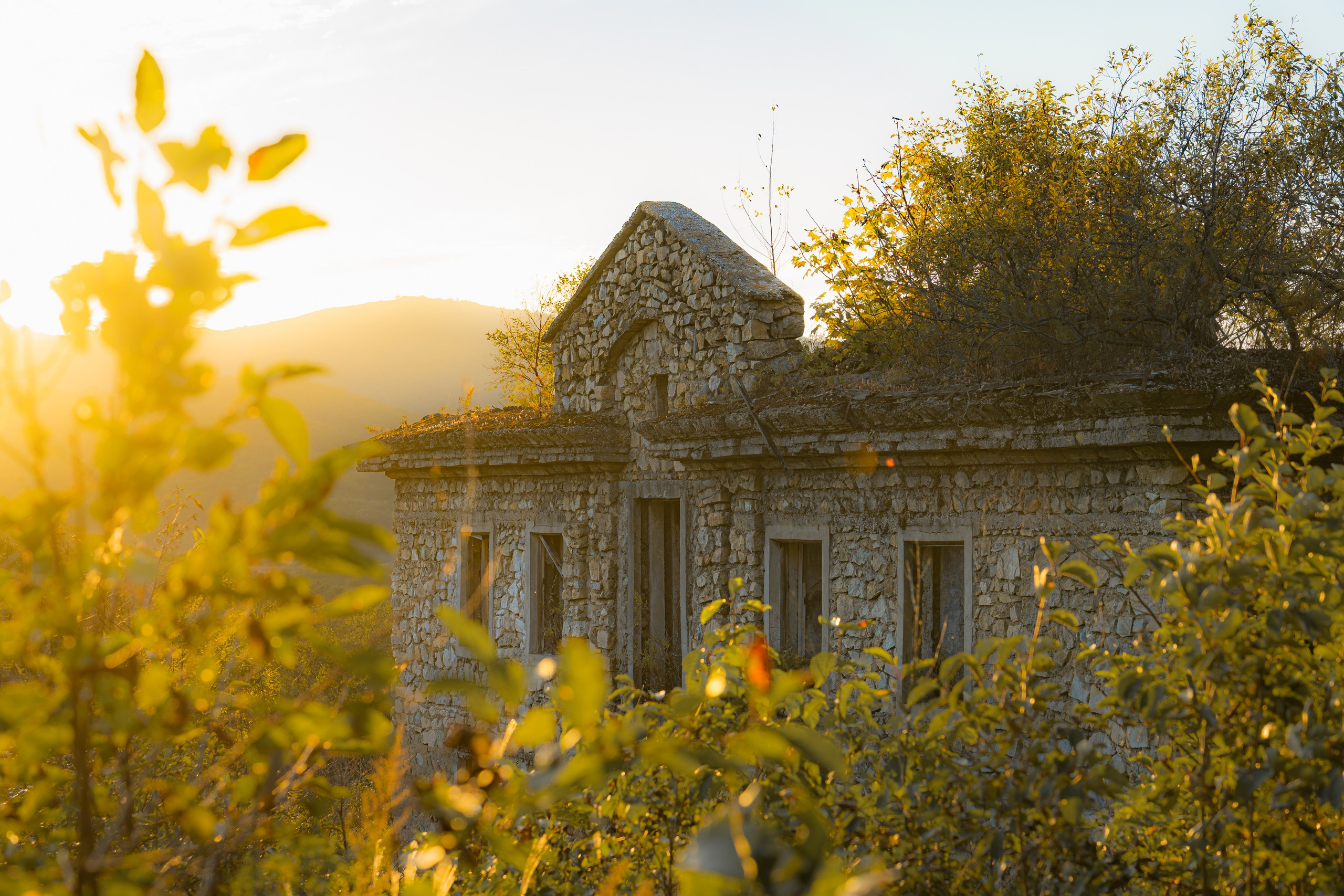 Бухта Льва | Мыс Сосновый. Иван Зайцев (IZIART) — создание культурного кода через фото и видео