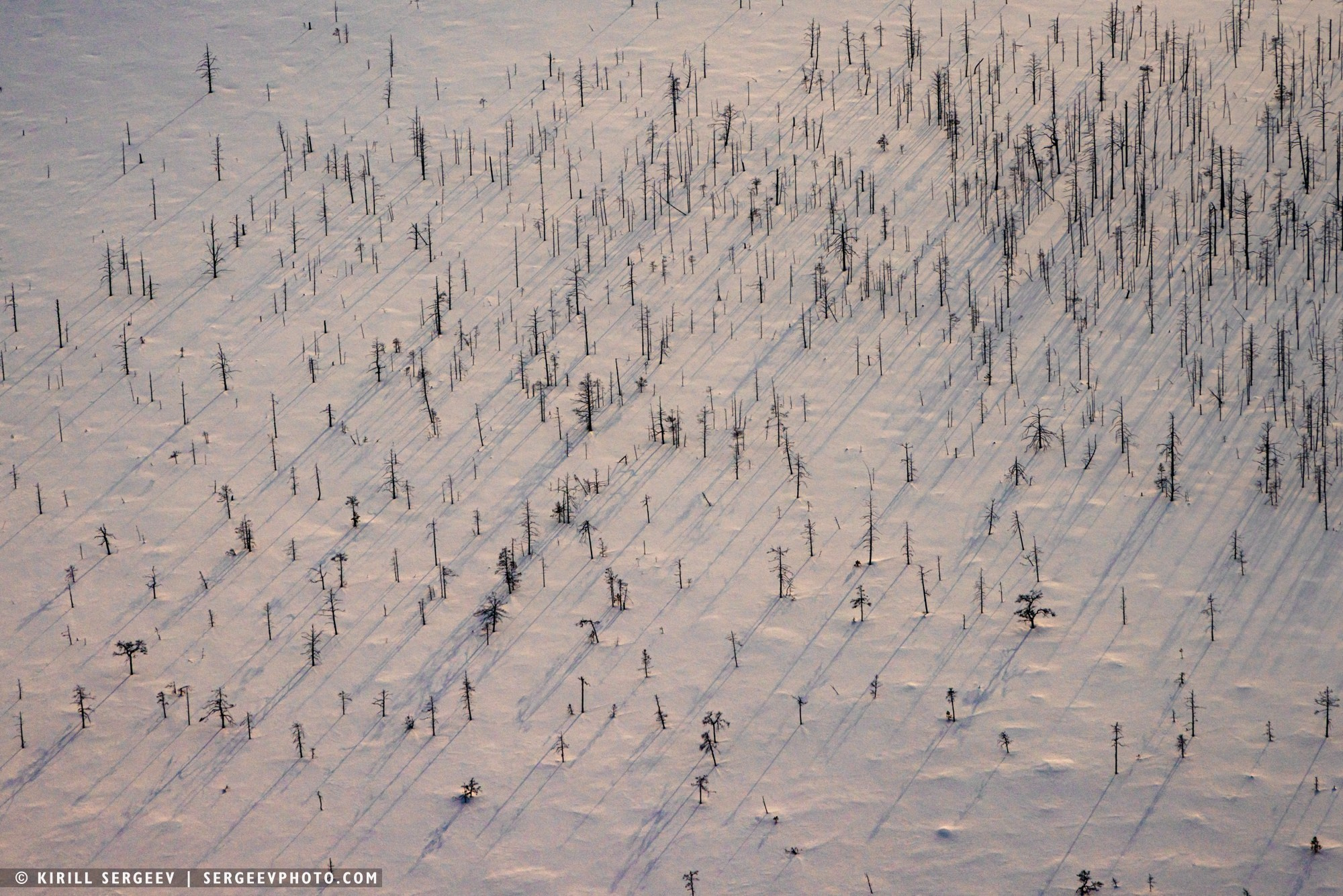 MANPUPUNEUR. Photographer Kirill Sergeev | Moscow