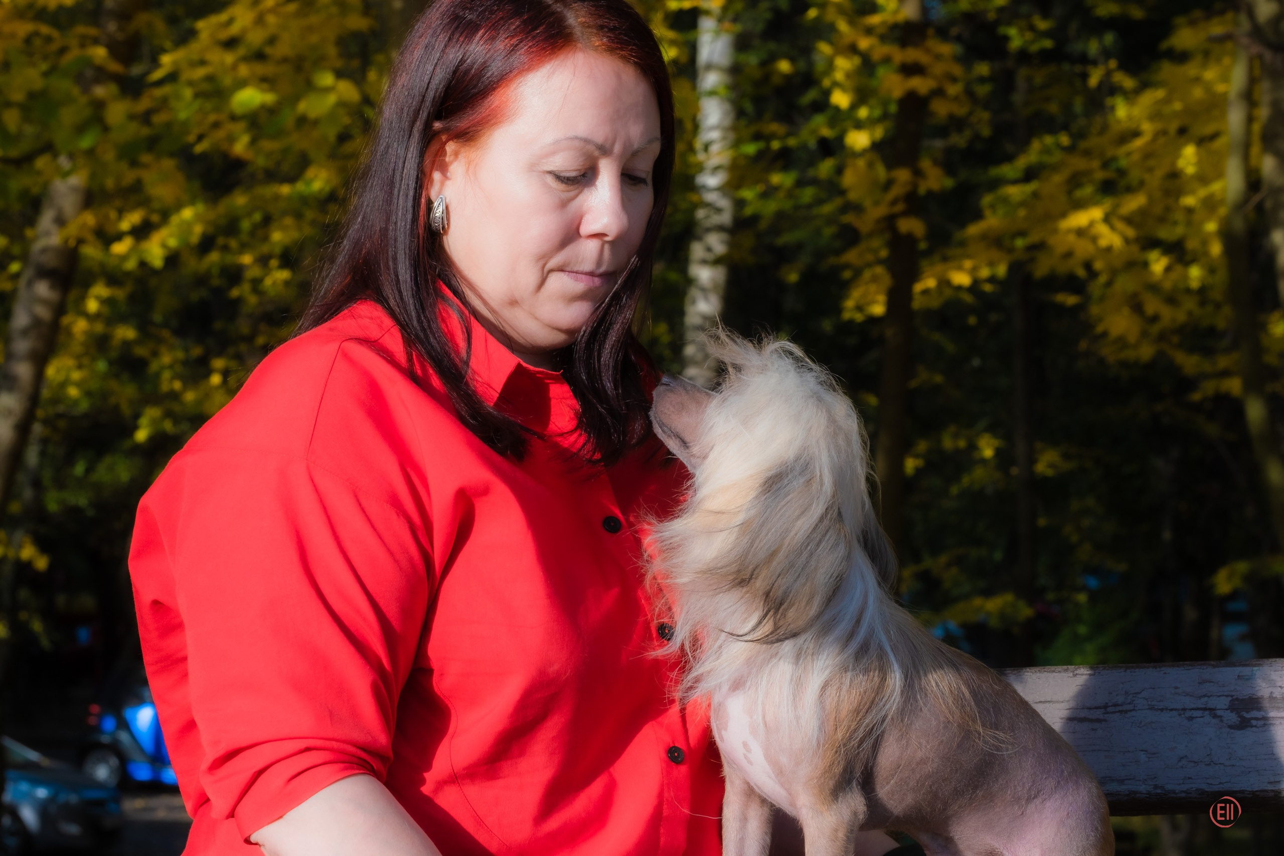 Poale Ell Clare — Junior Champion of Russia. Chinese Crested Dog Kennel Poale Ell