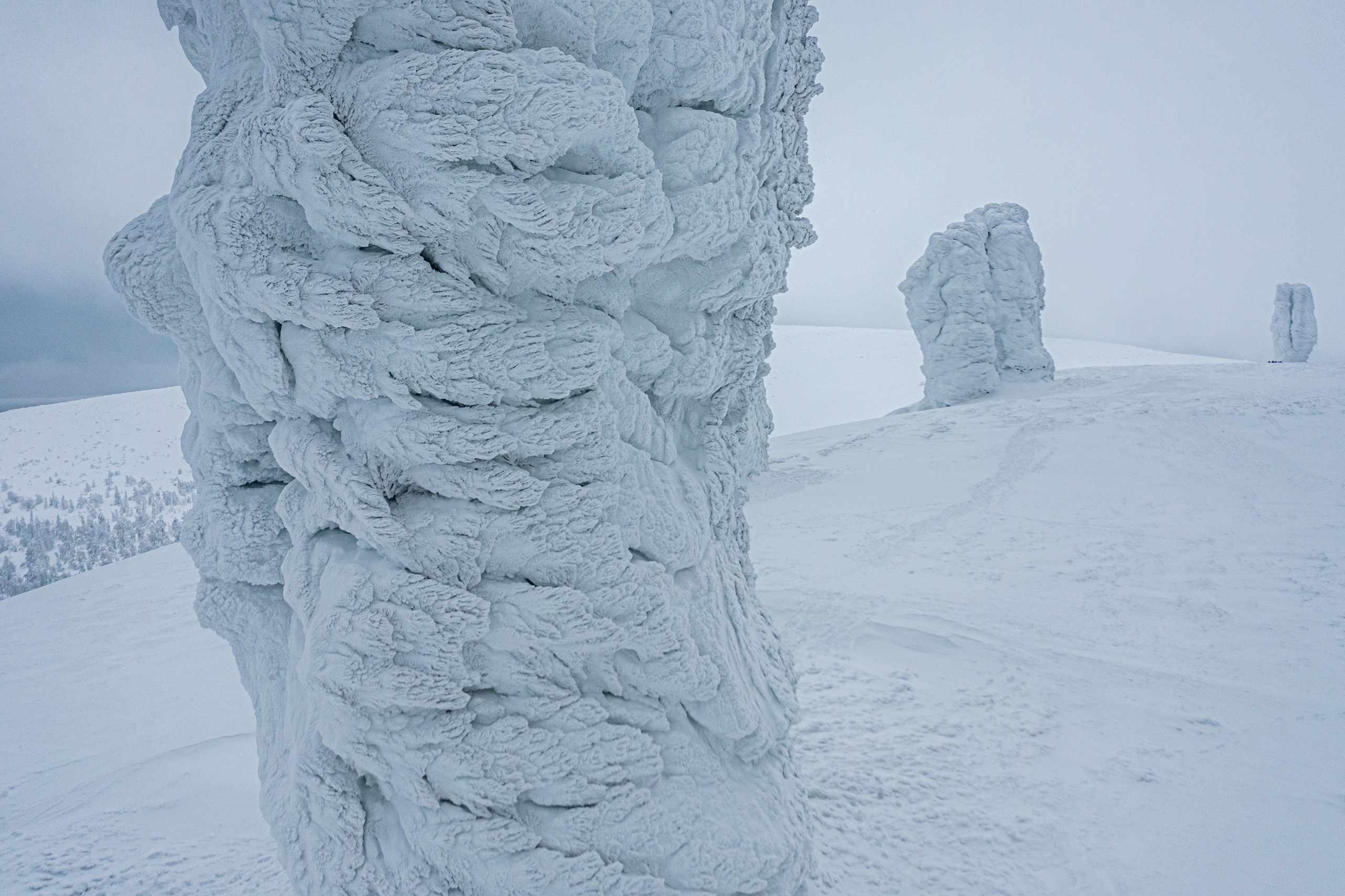 Фотограф Кирилл Сергеев | Москва