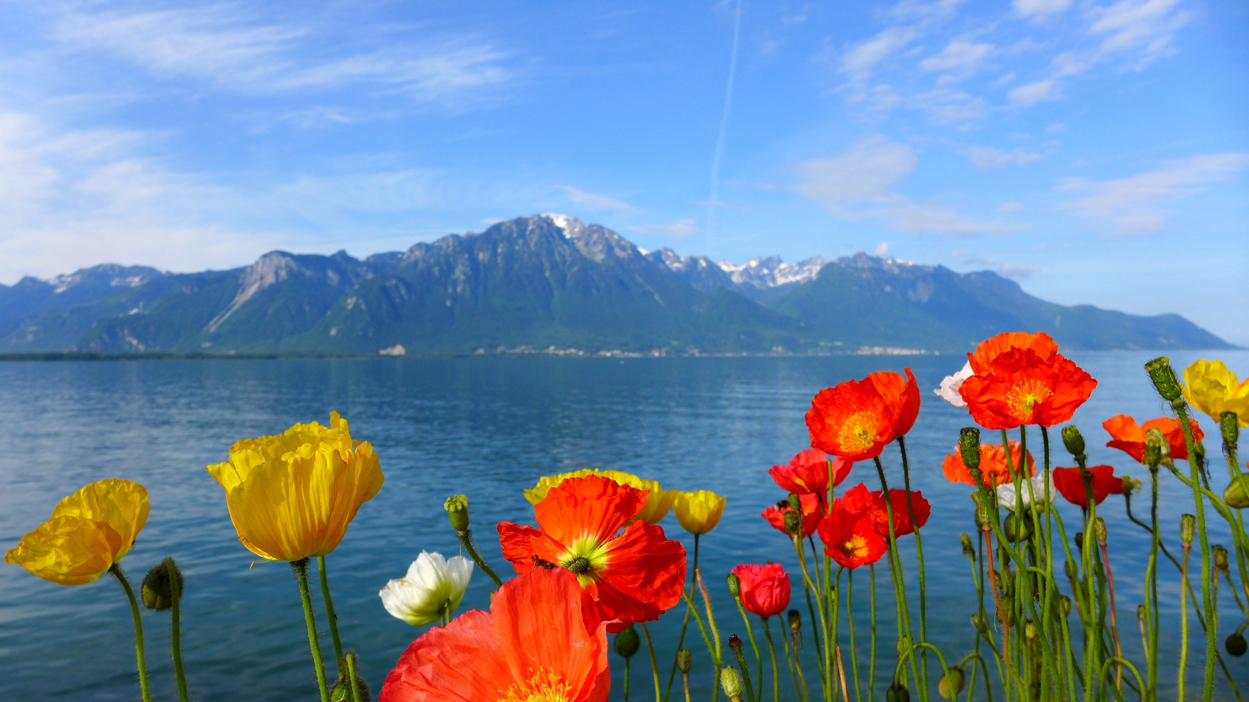 Весна идёт. Photo-gerz.ru