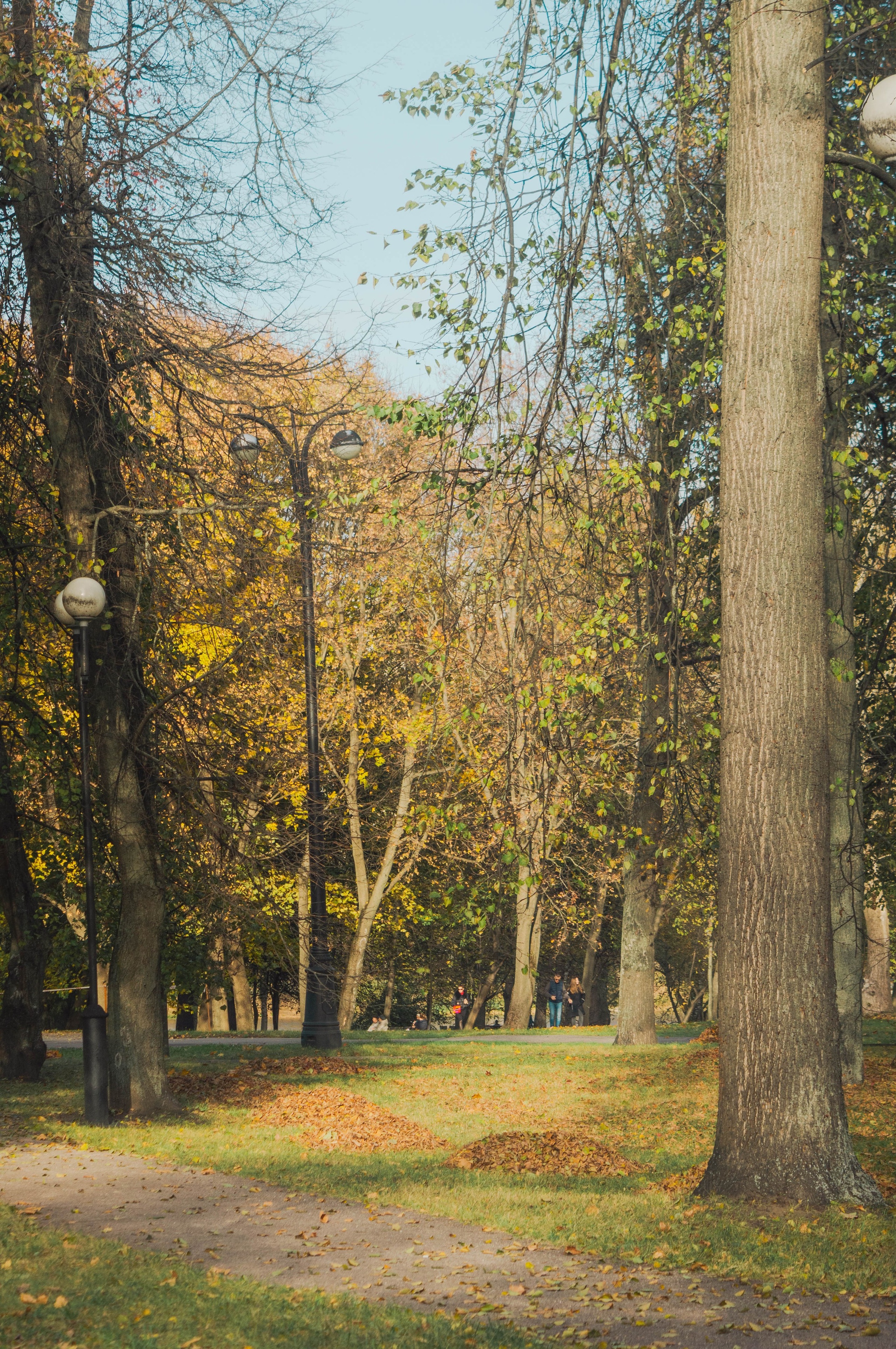 Октябрь в городе. Фотограф Анастасия Лощакова в Москве