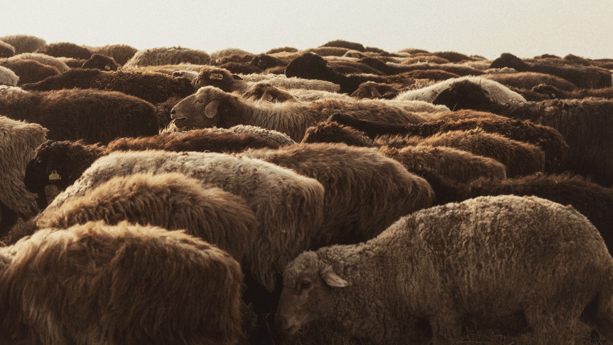 Алматы. ФотоТур. Фотограф и режиссер Сергей Спирин. Москва