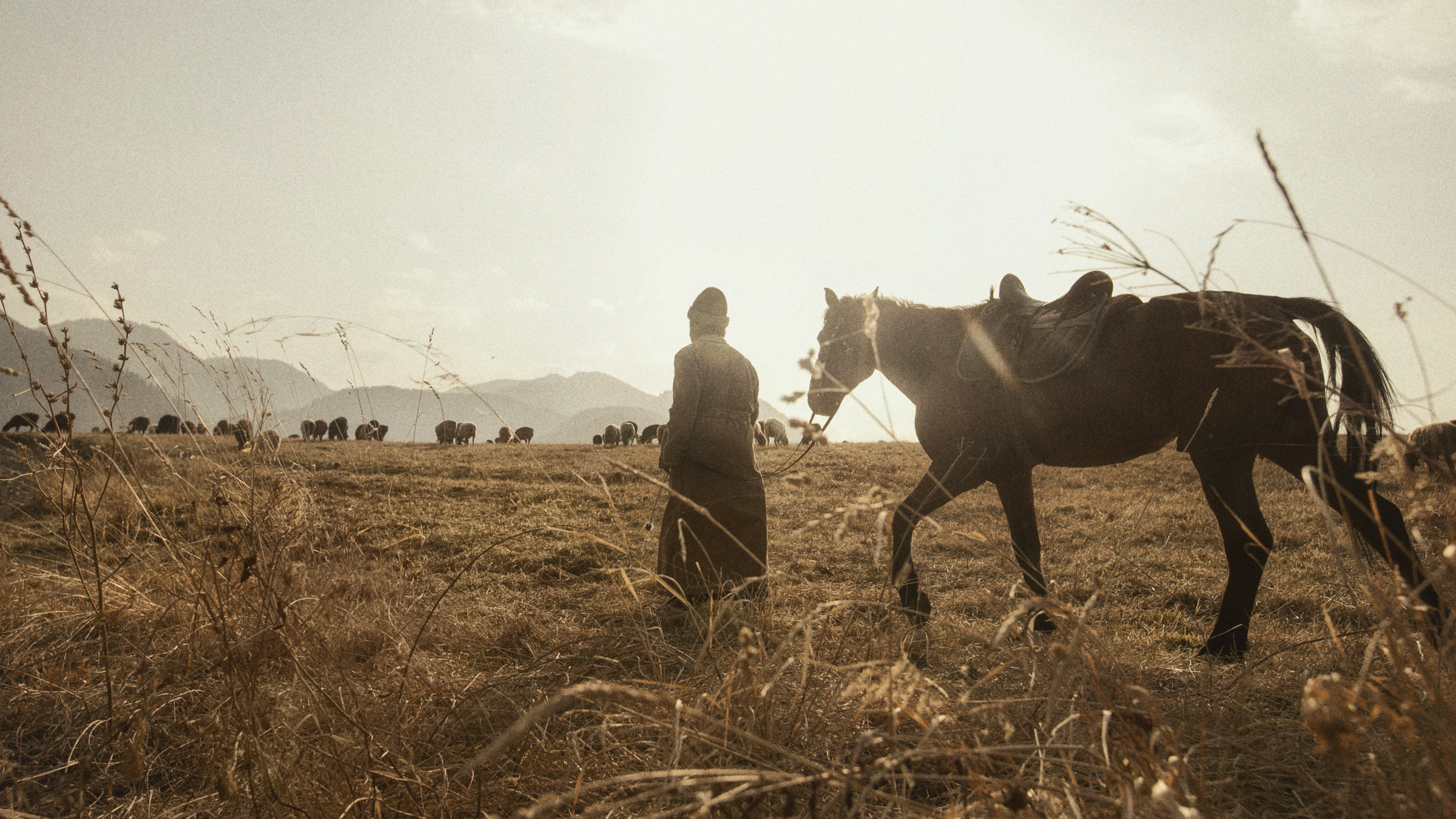 Алматы. ФотоТур. Фотограф и режиссер Сергей Спирин. Москва