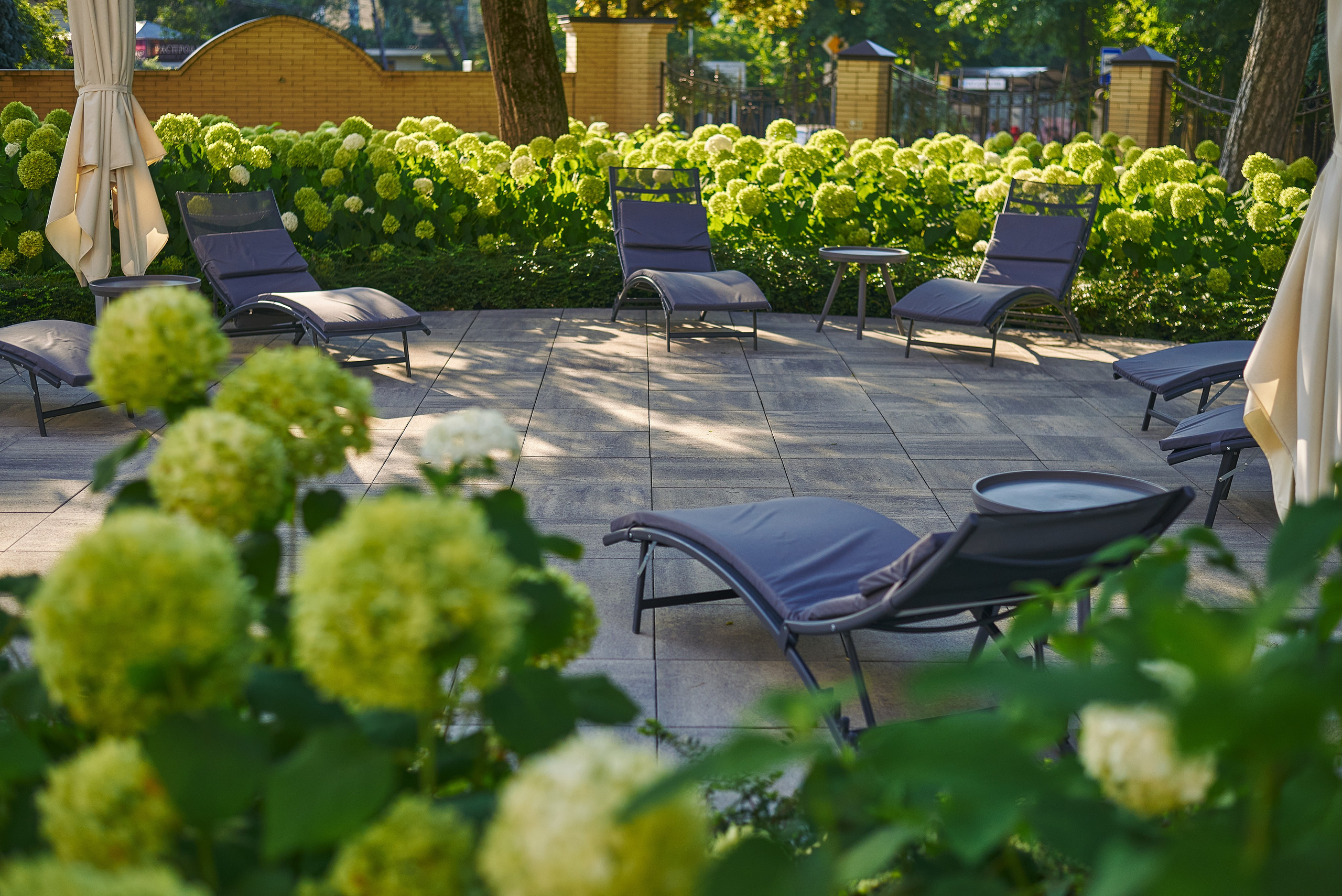 Фотограф Константин Кордонский