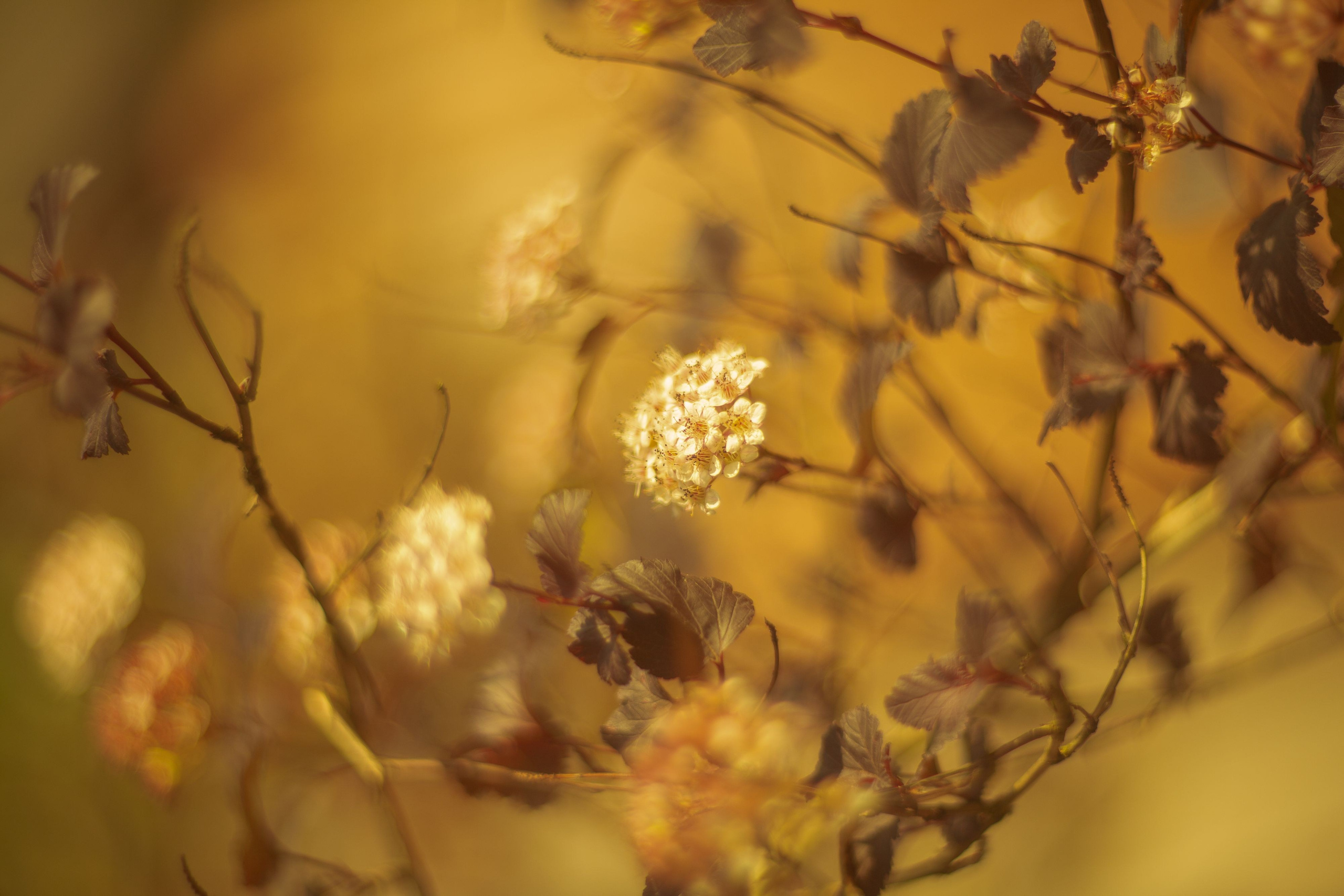 Серия «Цвет переосмыслений». Фотограф в Москве Татьяна Макотра