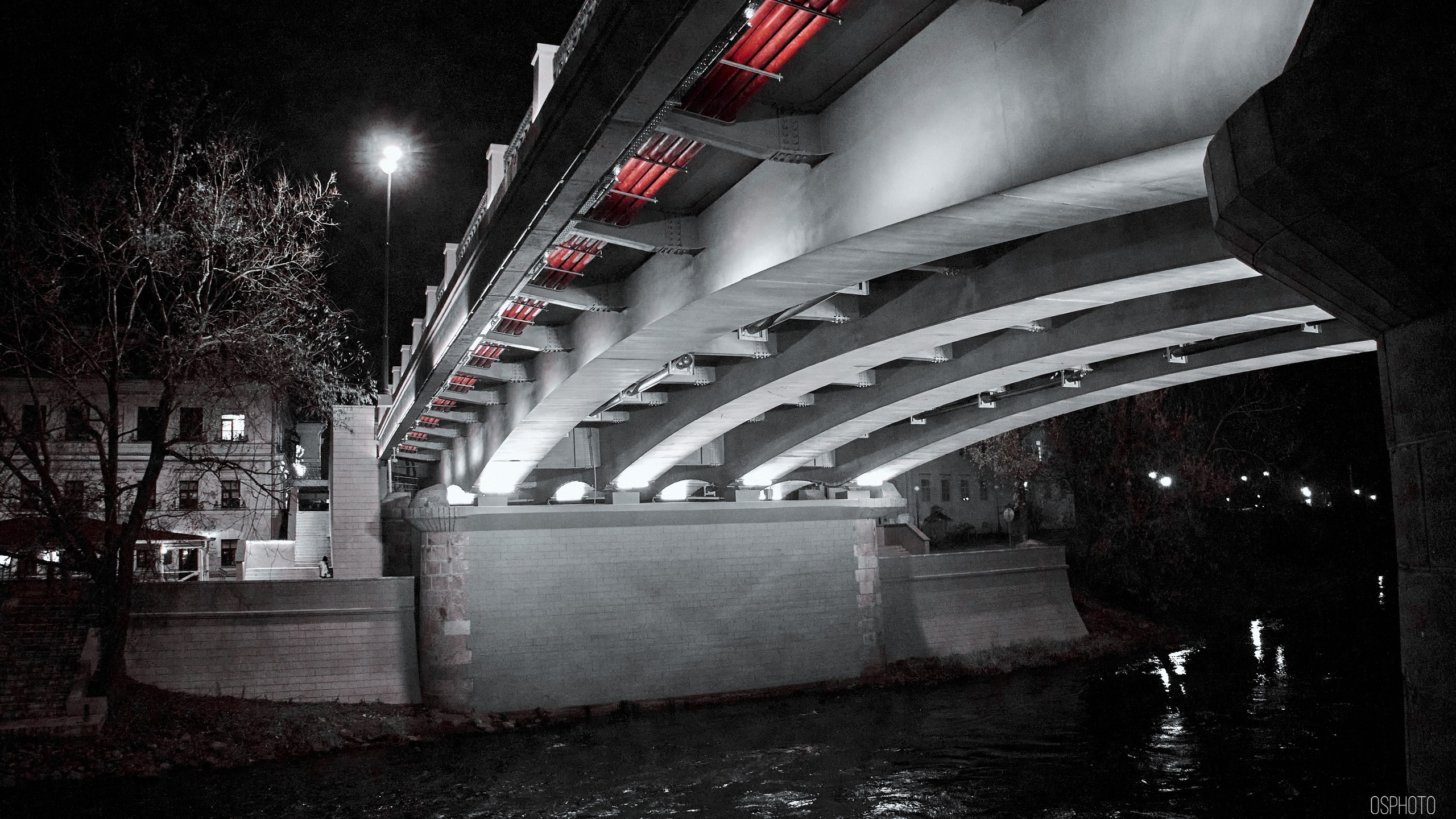 Псков. Ноябрь. Фотографъ Сергѣевъ. Поймать мгновеніе