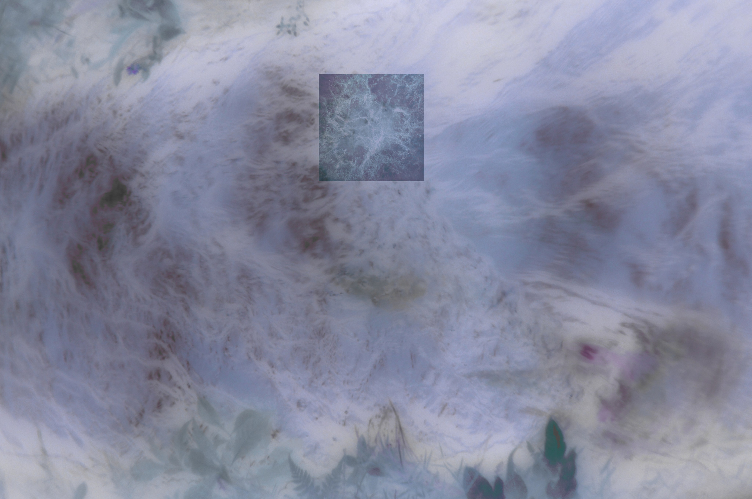 ФОТОГРАФИЯ. CONTEMPORARY ARTIST OLGA ANDRIYASH