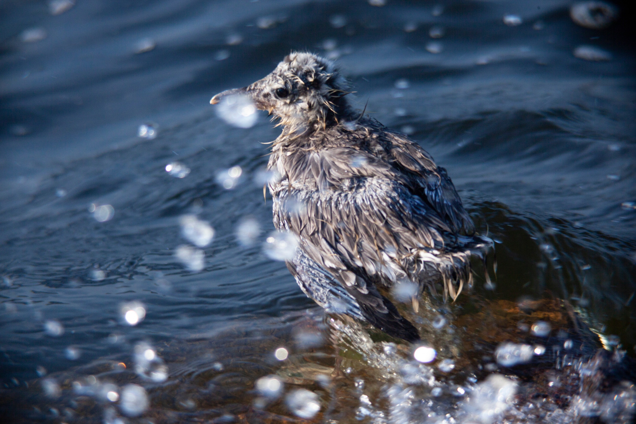 Фотограф Адигамова Юлия в Петербурге