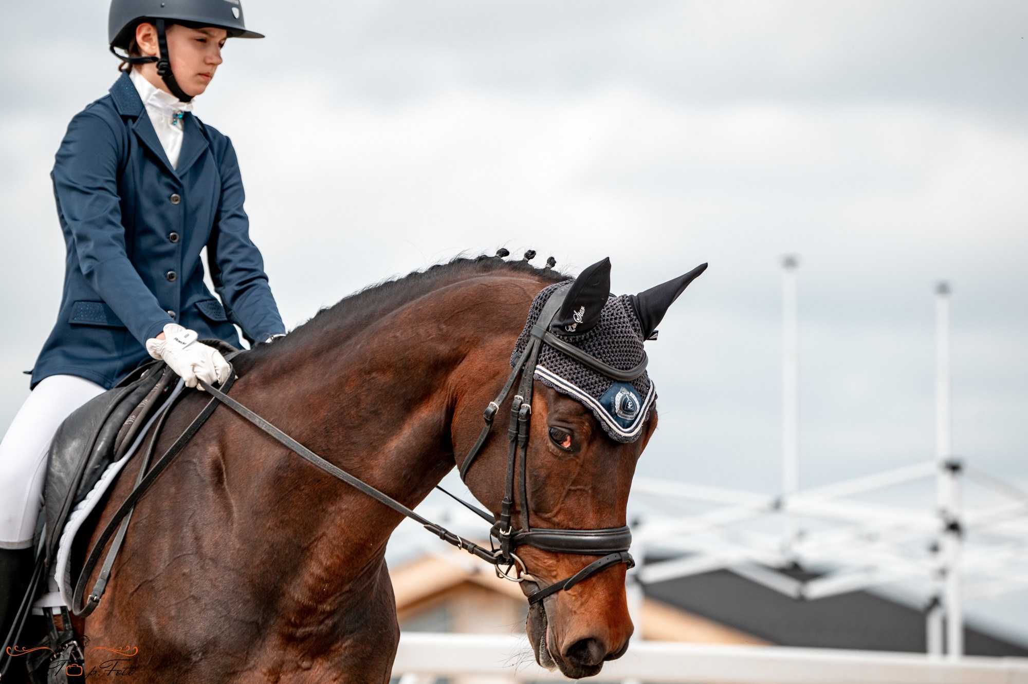 Кубок Победы конного Клуба EQUIPARK по выездке. Конный и фотограф с животными в Твери Топталова Люся