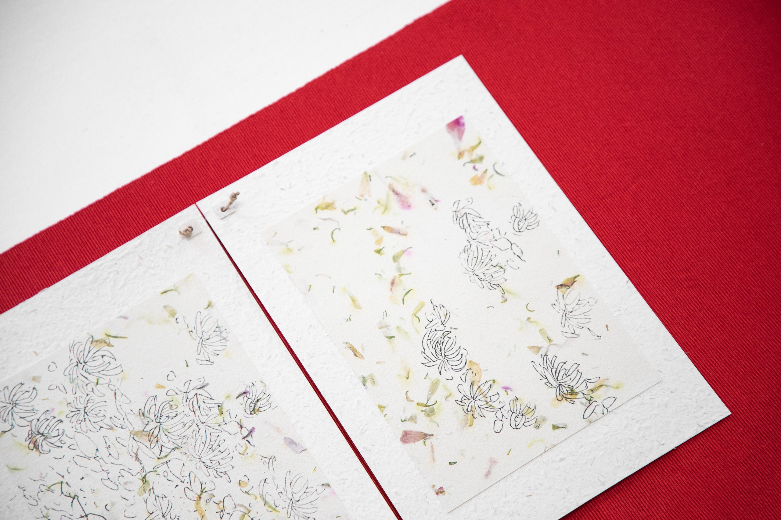 A Collection of Exercises (2023)