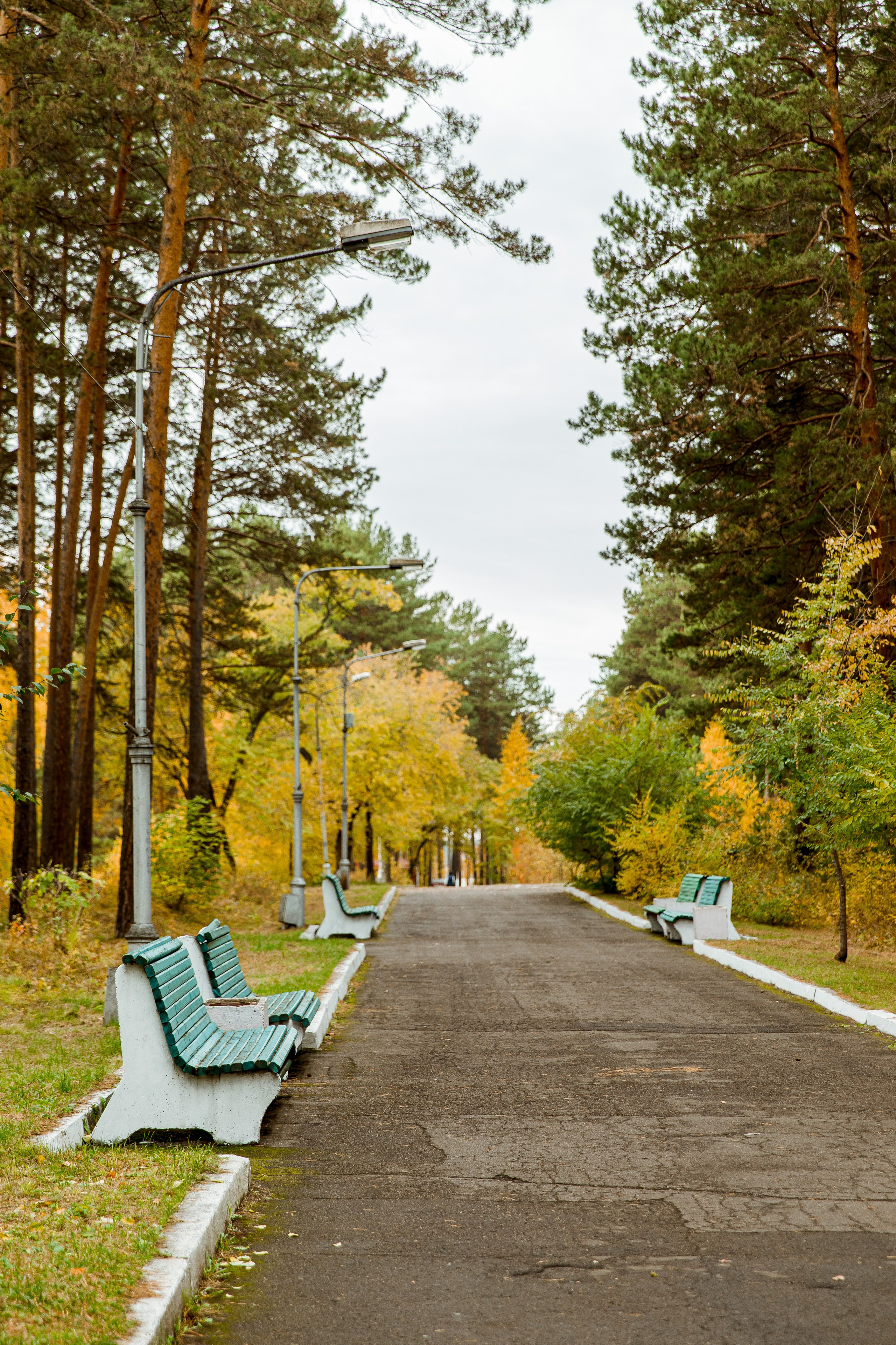 Осень в парке. Семейный и детский фотограф в Железногорске Саламахо Ольга