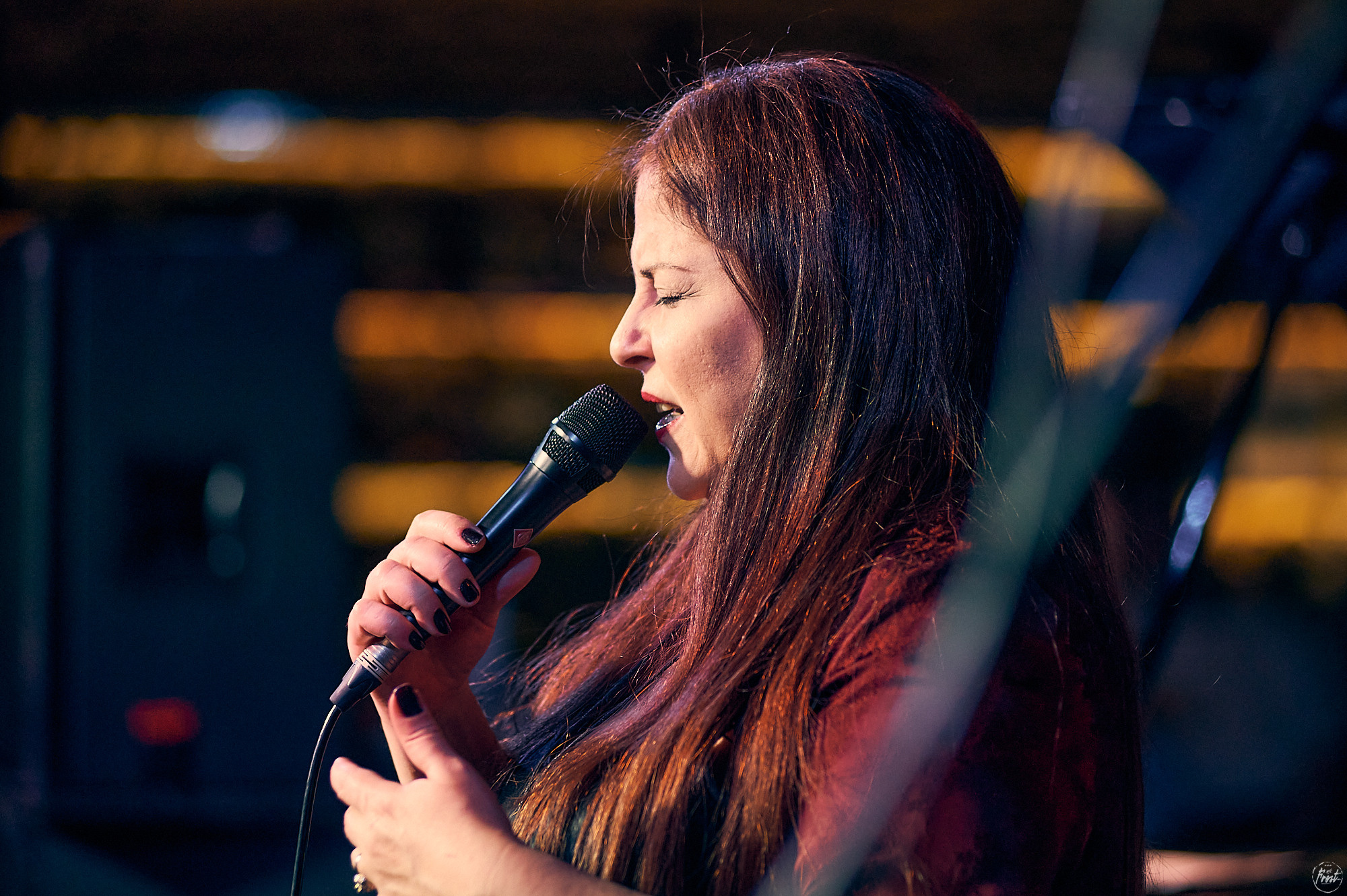 Концерт турецкой певицы Сибель Кёсе в джаз-клубе EverJazz. Фотографии отовсюду и обо всем