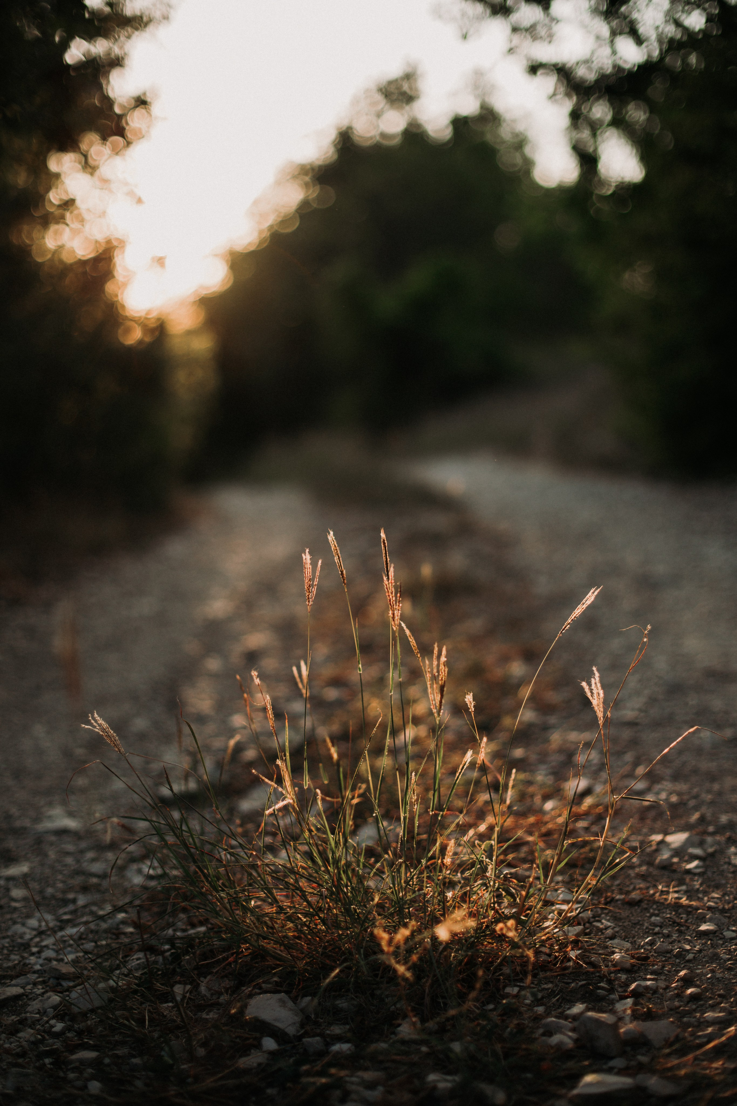 Дороги земли ветров. Портретный фотограф в Москве и Геленджике Кирилл Вахитов