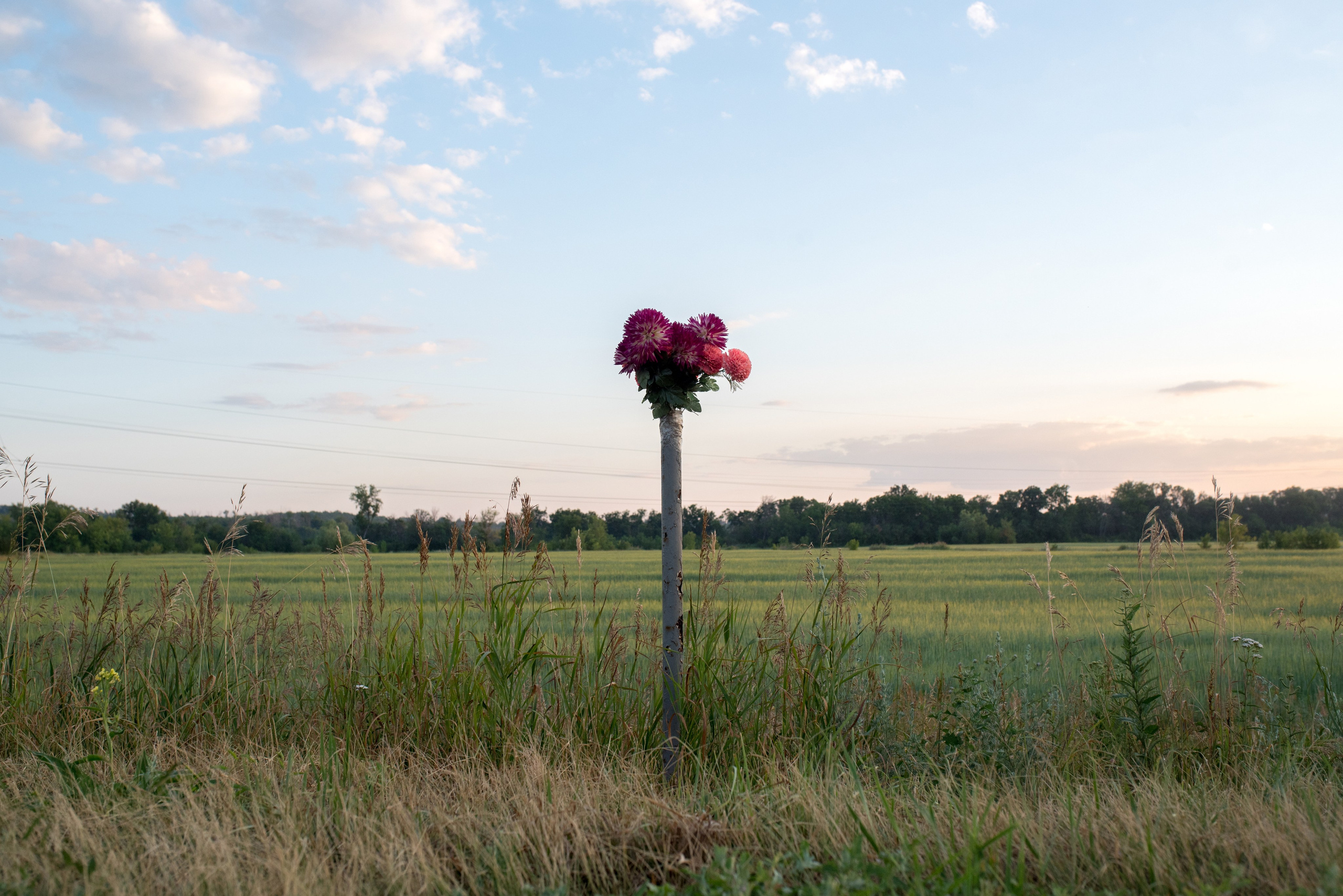 36К-277. Наталия Шульгина — визуальный художник, фотограф