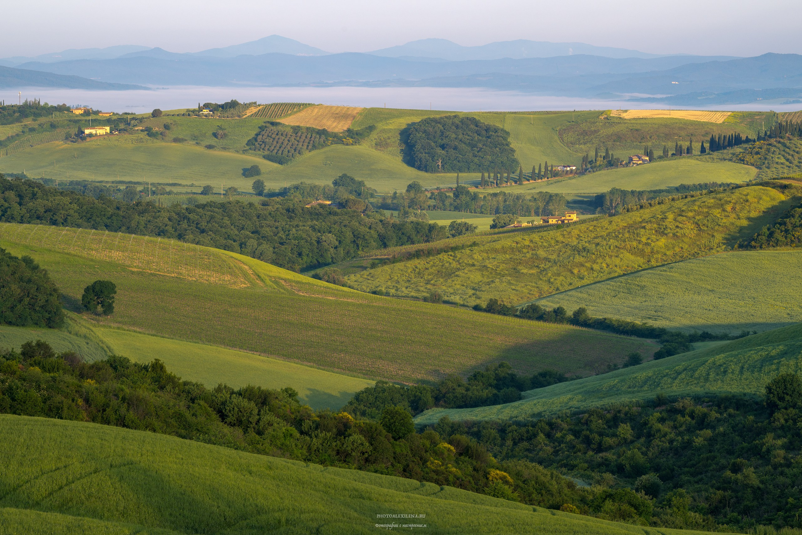 Долина Крете Сенези (Crete Senesi). Авторские стильные фотокартины