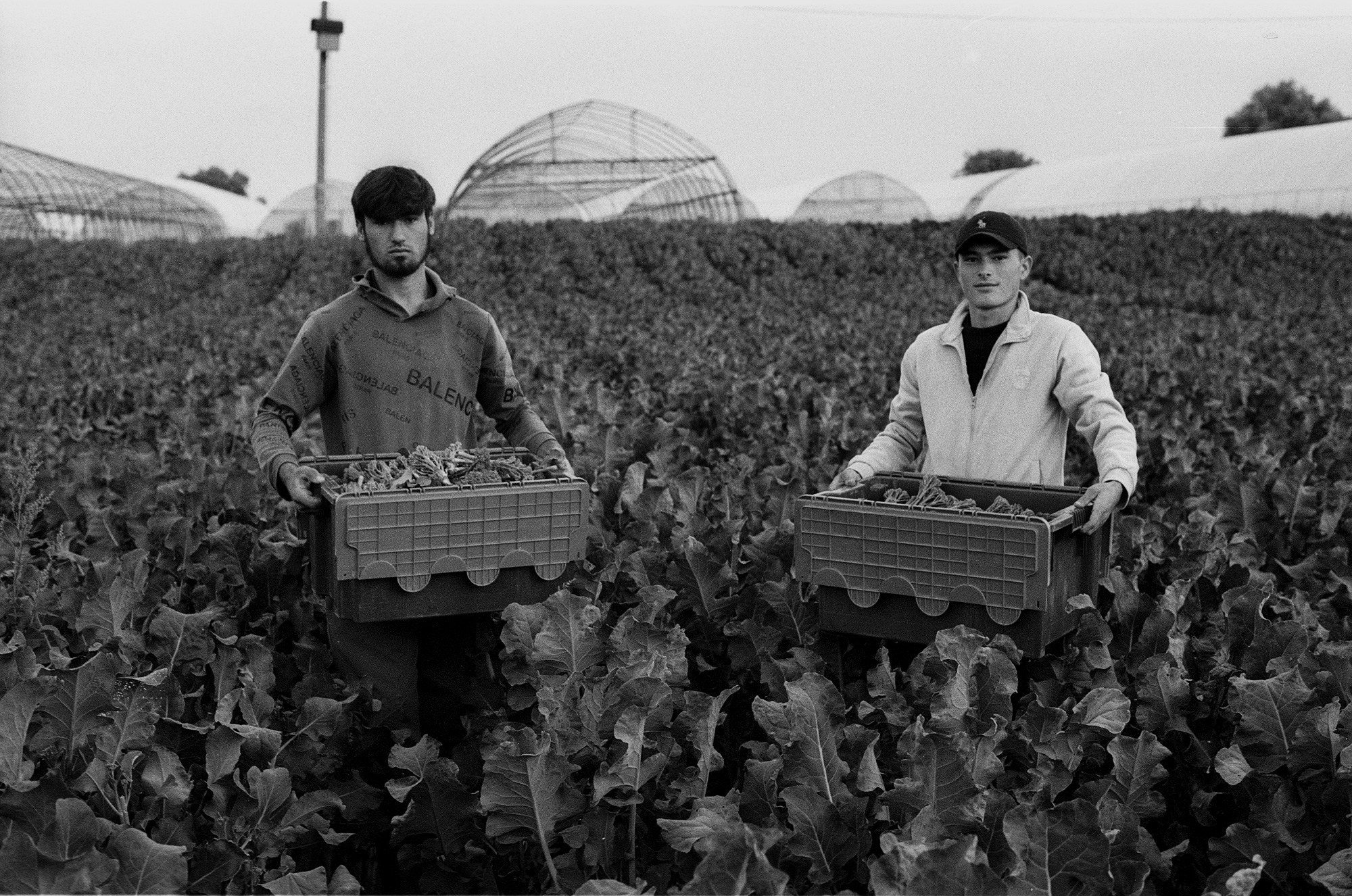 SuperFoodFarm. The history of the farm. Another person Pavel Potseluev. A photographer in 2025